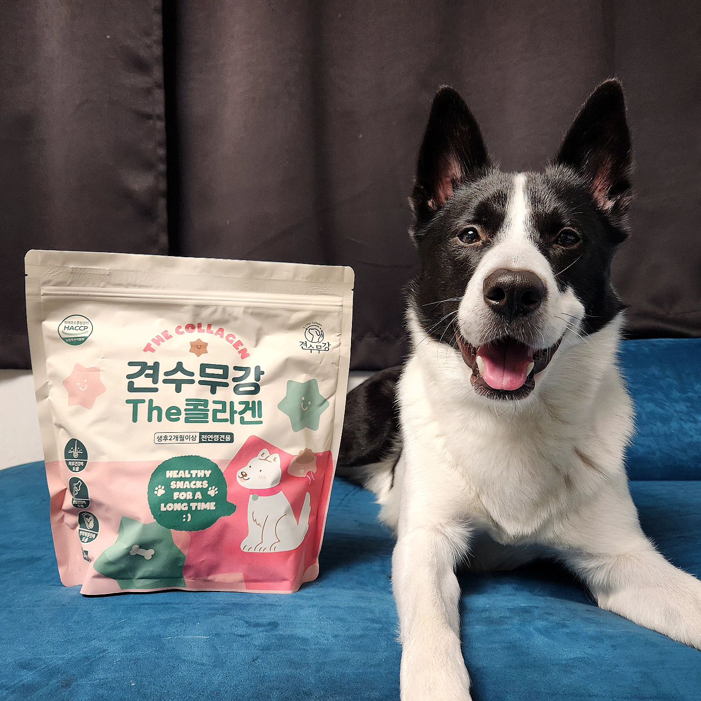 #업체로부터제공받은제품입니다
<아모스팜 견수무강 The 콜라겐>
휴먼 그레이드 원료로 제조된 간식형 영양트릿 견수무강은 어린 강아지부터 노견까지 모두 섭취하기 좋은 건강 트릿!! 

ISO22000,ISO14001,HACCP 인증 국내 제조사 생산으로 믿고 먹일 수 있고 GMO,색소,조류,소금,향미제,그레인,글루텐 프리 제품으로 안심하고 급여할 수 있어요. 

알러지 걱정 없는 저알러지성 가수분해 트릿이며
기능성과 기호도를 모두 잡은 반려견이 가장 좋아하는 트릿!! 

#아모스팜#강아지영양제#애견간식#강아지가수분해간식#강아지간식#강아지영양간식#반려견간식#애견영양제#반려견영양제