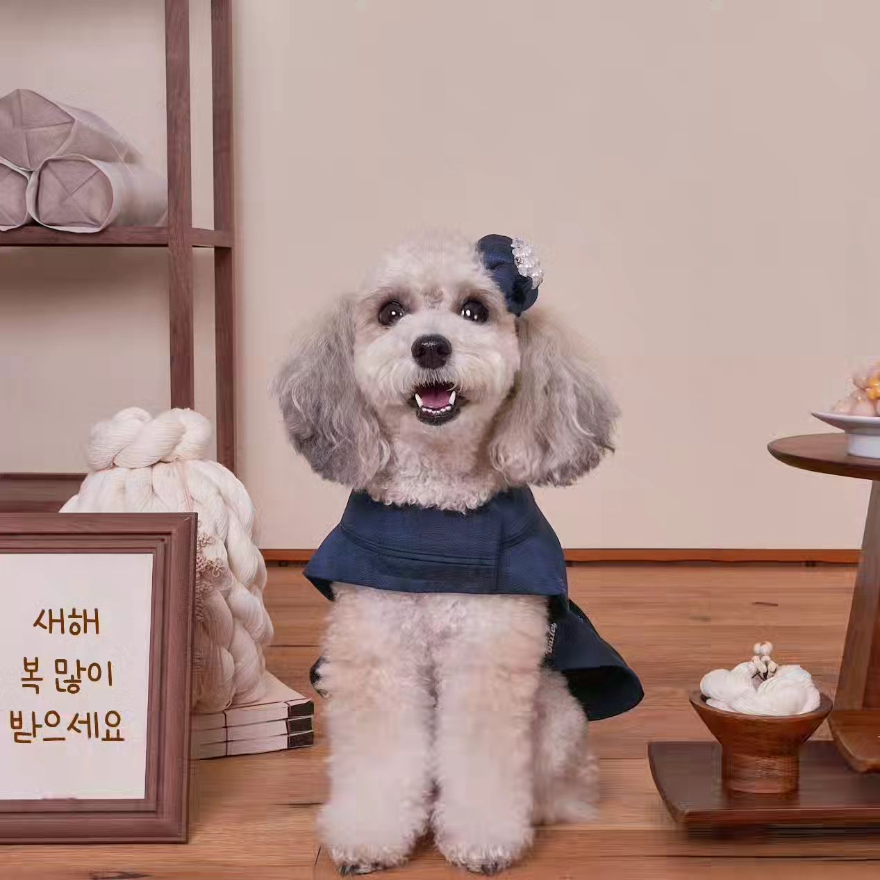 새해 복 많이 받으세요!🙇🏻‍♀️

⠀⠀
🏷 한복 세자 감색 → baileypet.co.kr 

#강아지육아일기 #강아지모델_바로아치 #강아지모델 #예쁜내새끼 #강아지한복 #강아지한복추천