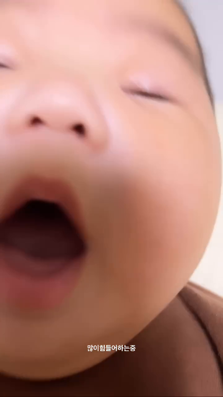 콘텐츠