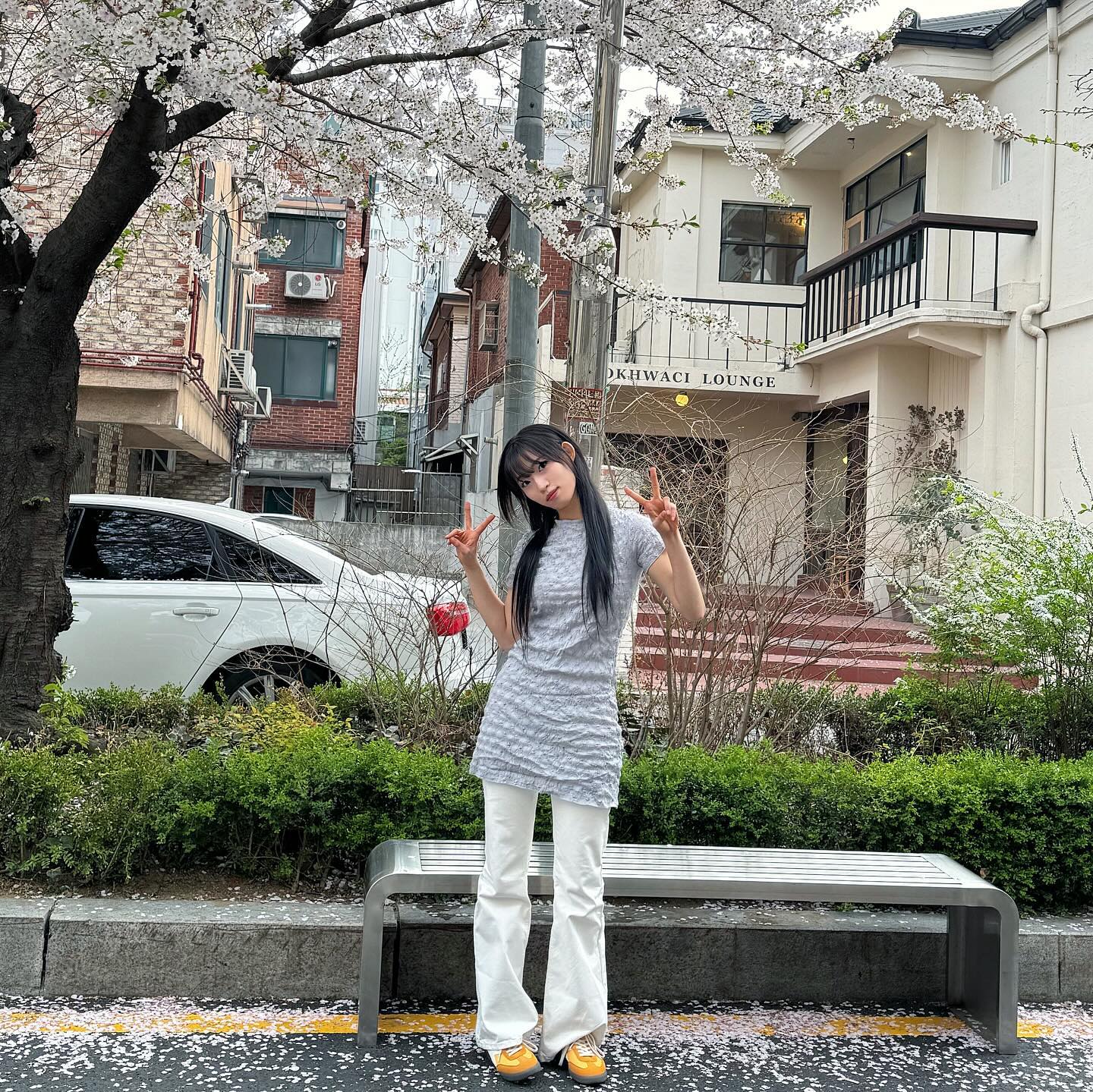전 아직도 봄인데요..🌸
#벚꽃 #연남동카페 #잼잼