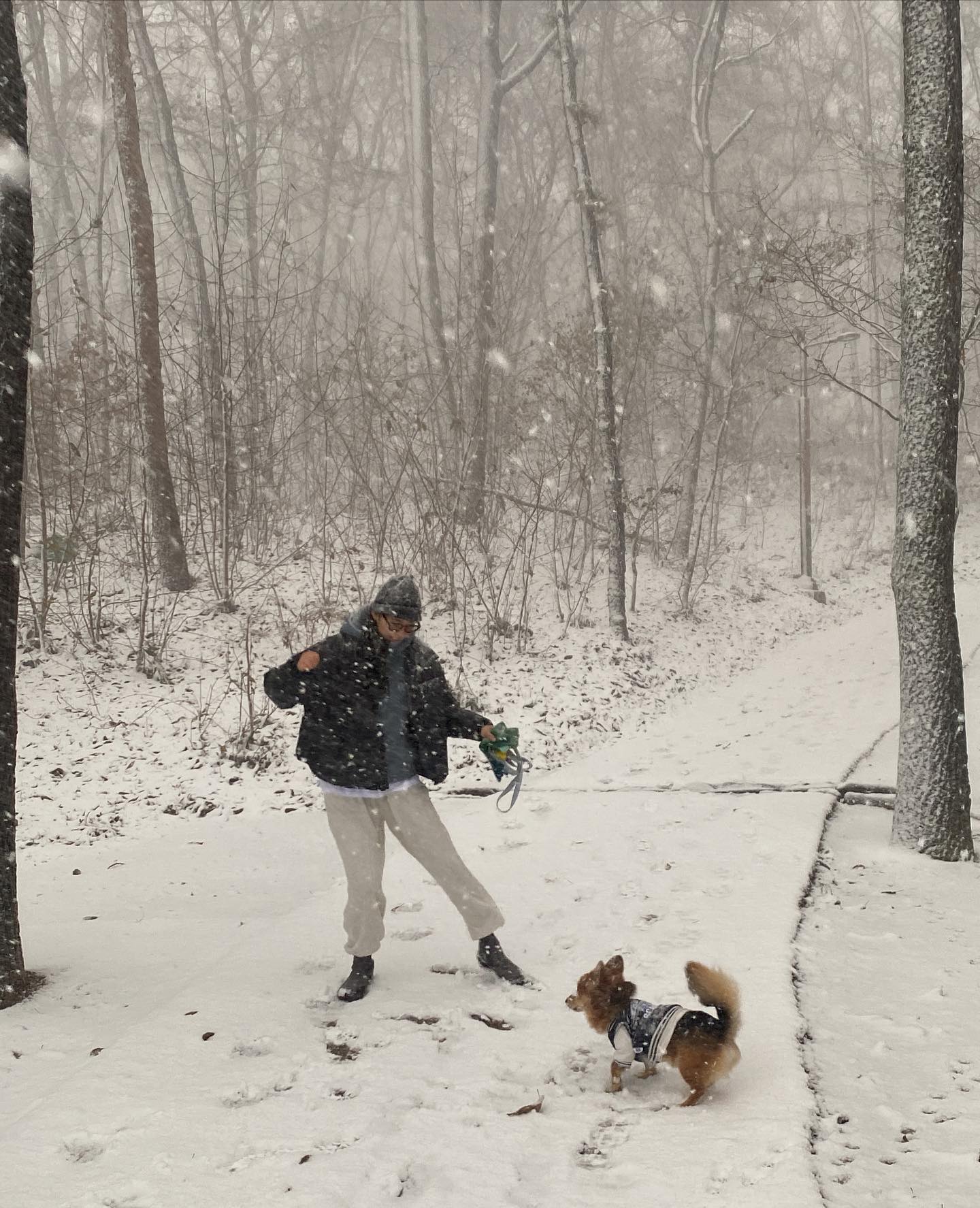 🧤🧣🌨️☃️❄️🦊🩶
