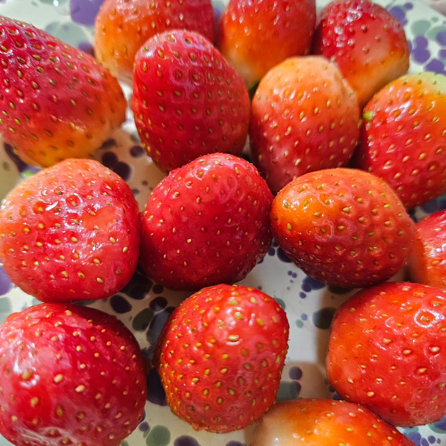#아침 #딸기 #계란말이 🍓

딸기가 끝물인가 뭐 이렇게 안단지 🙂‍↔️ 먹다 말았네 

#strawberry #strawberries #egg #계란 #식사 #밥 #식사대용 #과일 #건강식 #먹팔 #맞팔 #선팔