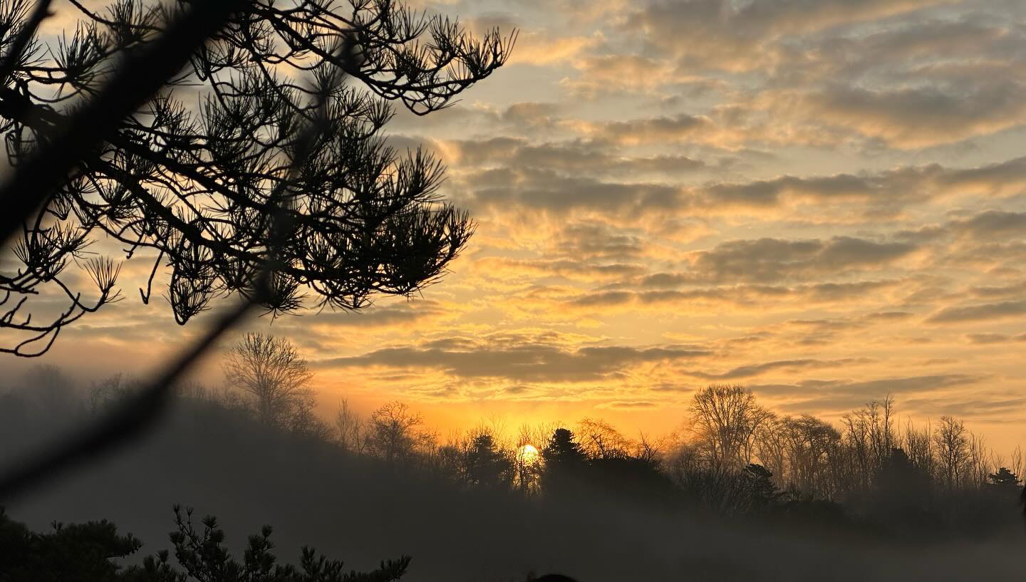 🌤️happy new year~🐉
.
.
#새해복많이받으세요 #🙇‍♀️ #새해 #해돋이 #☀️ #2024 #🐉 #happynewyear #해돋이명소 #아차산 #등산 #설산 #새해첫날 #힐링 #상쾌해 #🗻 #일상 #연휴 #주말 #daily #selca #selfie #fff #f4f #소통 #선팔맞팔 #좋아요 #좋반 #행복 #❤️