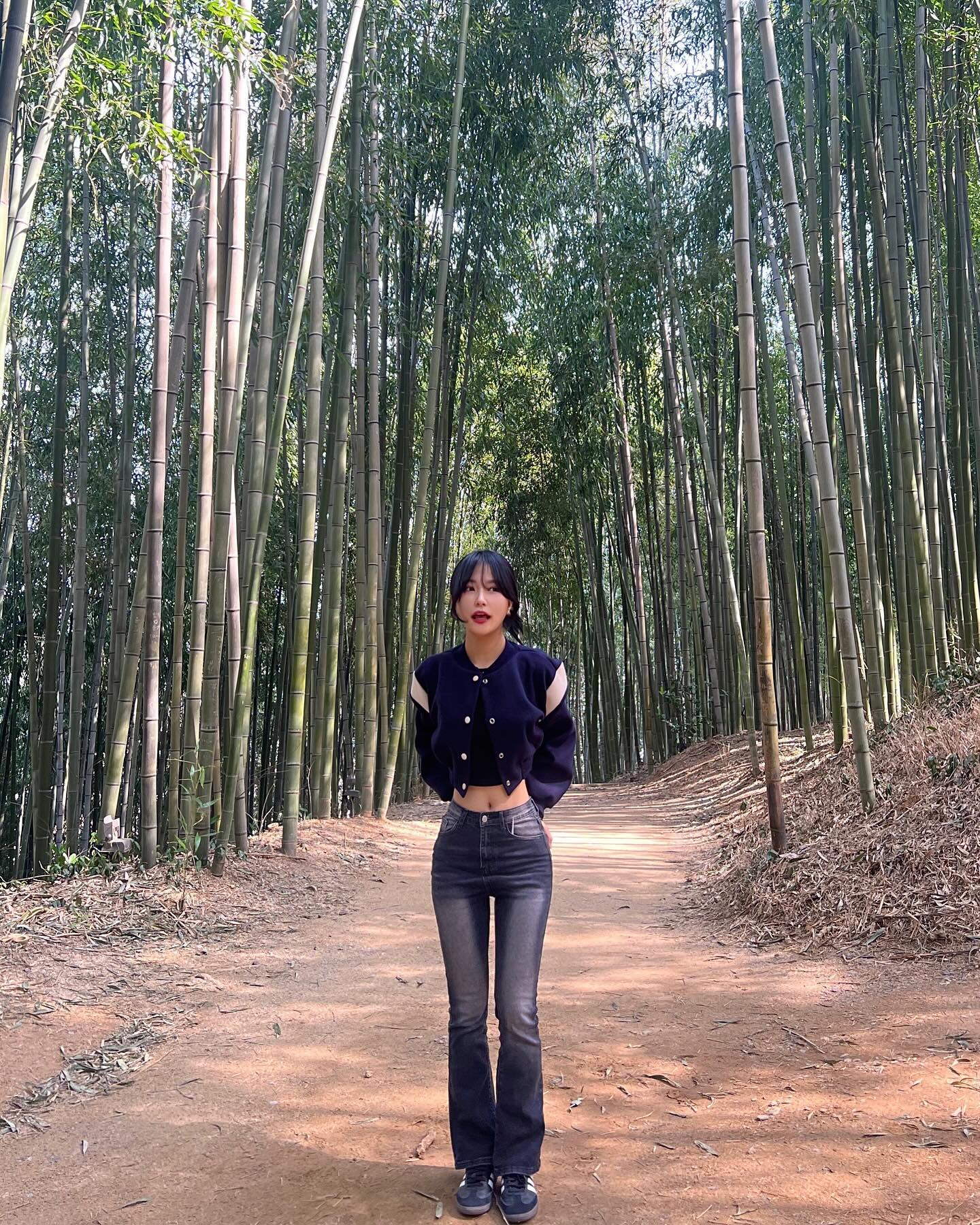 푸바오 체험