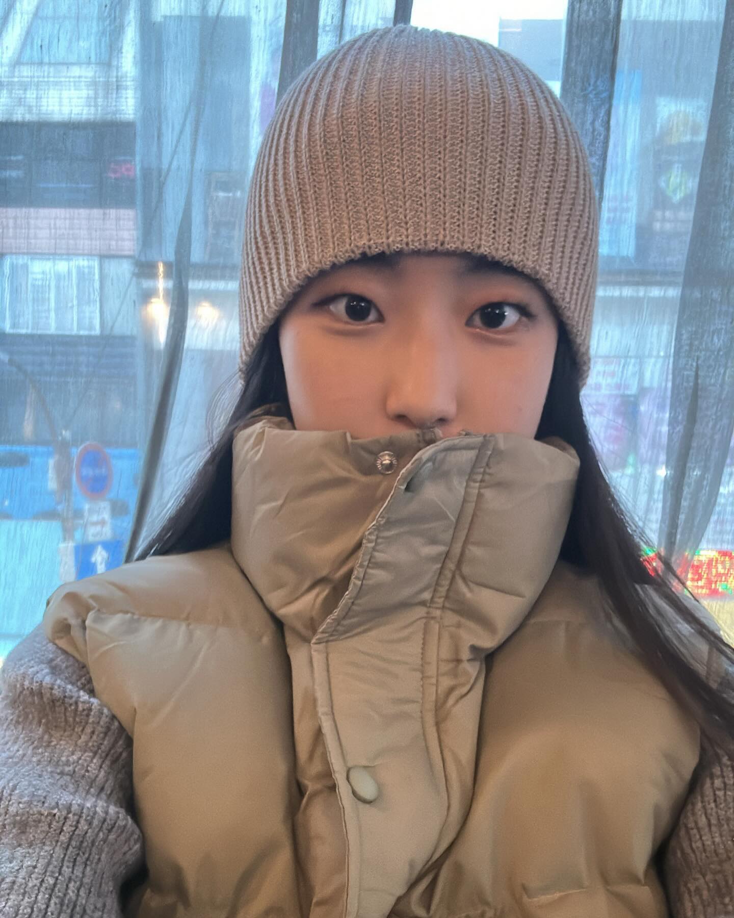 비니의 계절