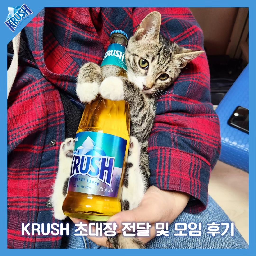 #광고 #협찬 #AD

안녕하세요,
CRUSH ON KRUSH,
롯데칠성 맥주 '크러시' 서포터즈 1기 '크러셔' 버들입니다!

저는 동아리 내에 친구들이 많아서 동아리 부원을 대상으로 초대장을 제작했습니다.
친구들도 보고, 크러시도 마시고, 굿즈도 나누어주고 일석삼조!

날을 잡고 친구들에게 굿즈도 나누어주고(굿즈 나눔 후기는 이전 피드 참고해주세요!)
친구가 키우고 있는 고양이도 보았는데요,
크러시를 꼬옥 안고 있는거 보이시나요?

사람뿐만 아니라 고양이도 크러시의 매력에 푹 빠져버린게 아닐까 싶기두 해요:)
친구 집에서 크러시 맥주와 안주도 즐기고
크러시 덕분에 즐거운 시간을 보냈어요💛
(크러시 병 맥주뿐만 아니라 크러시 캔도 출시되었으니 많은 관심 부탁드려요!)

여러분도 친구와 함께 크러시를 즐기고 싶을 때
초대장을 작성해보는 것은 어떨까요?
🍺🍻🍺🍻🍺🍻
#크러시 #크러시맥주

-알코올은 발암물질로 지나친 음주는 간암, 위암 등을 일으킵니다. 임신 중 음주는 기형아 출생 위험을 높입니다.

*본 콘텐츠는 롯데칠성 주니어 마케터 크러셔 활동의 일환으로서 소정의 지원금을 받고 활동 및 작성된 내용입니다