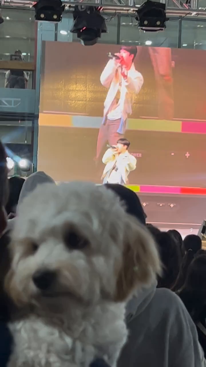 이유는 모르겠지만 모두가 날 찍고있다 (모르는강아지)
#멍스타그램 #강아지