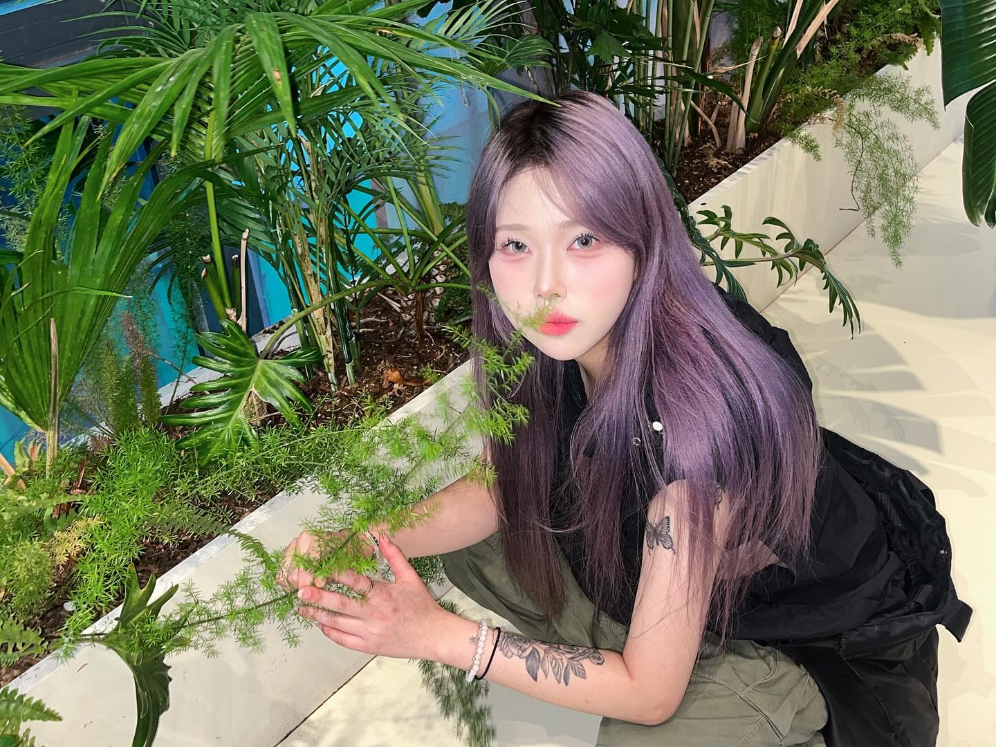 귤 띠무쨔!