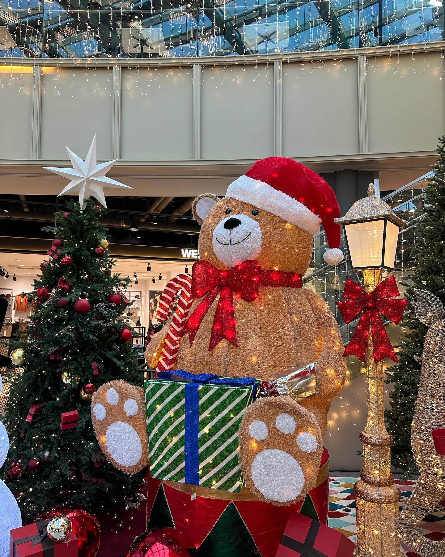 🧸🎄