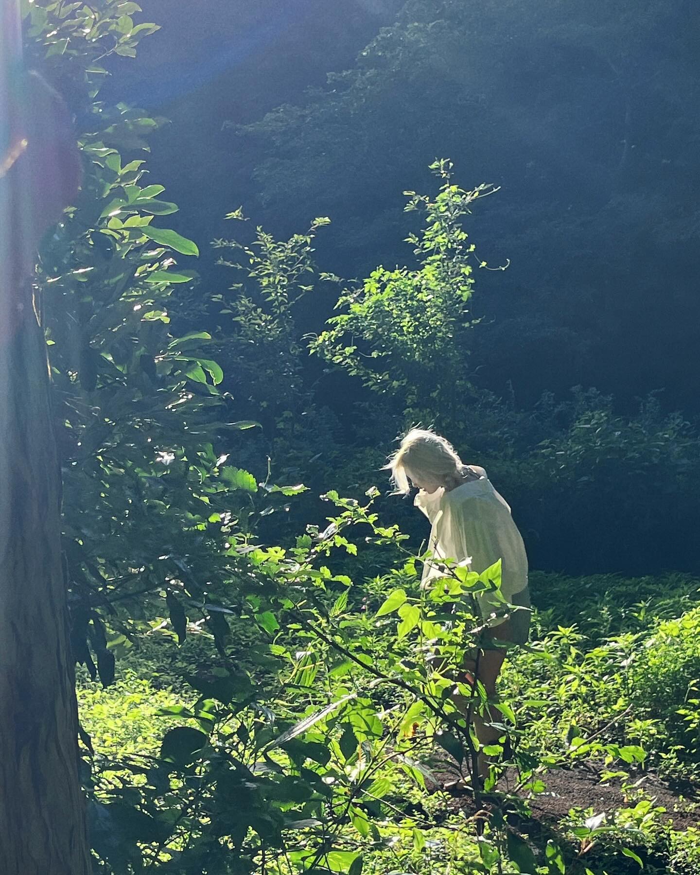 콘텐츠