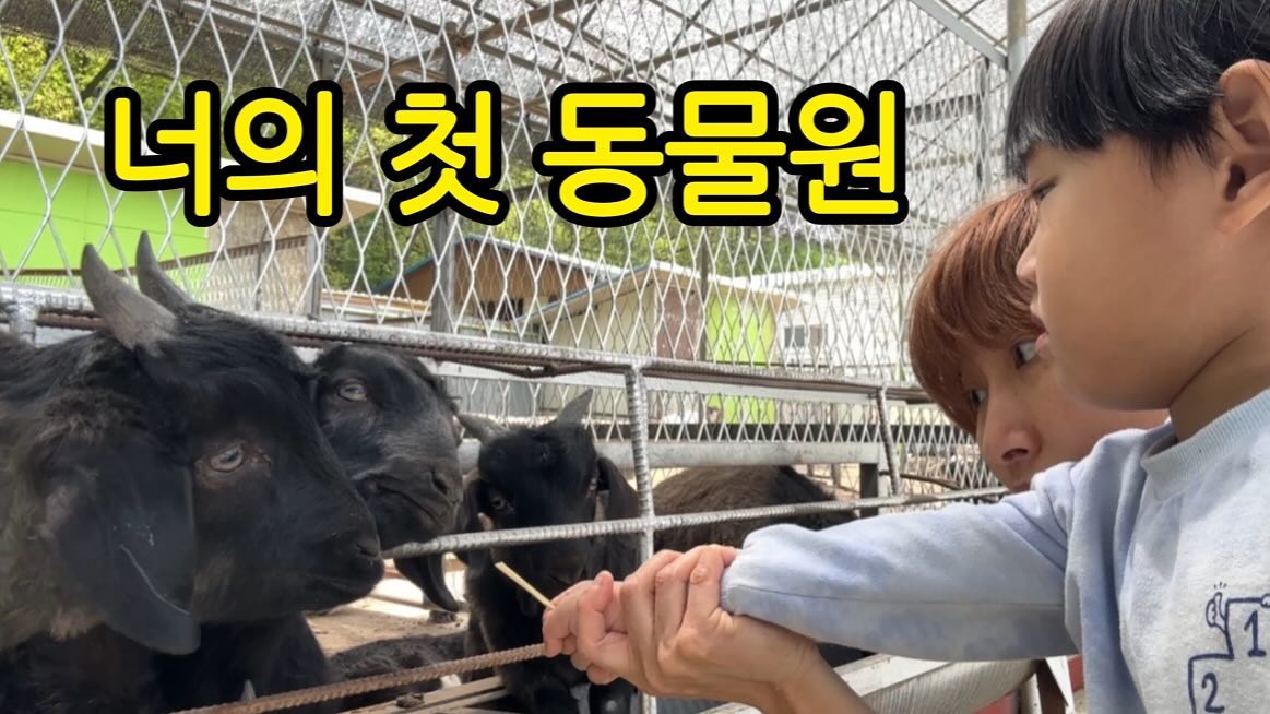4월 23일 다녀온 #타조농장 인데 #유튜브 #엄마후티비 에 영상 올렸어요 ❤️