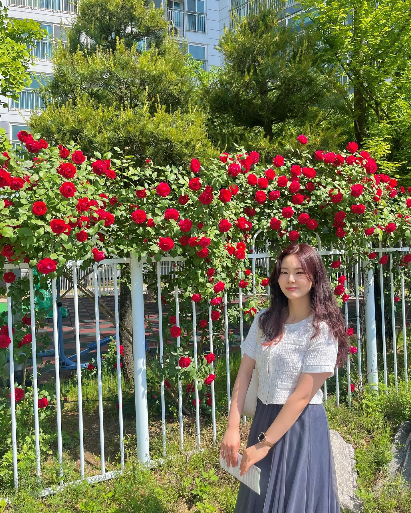 푸릇푸릇한 계절에 피어난 빨간 장미 🌹