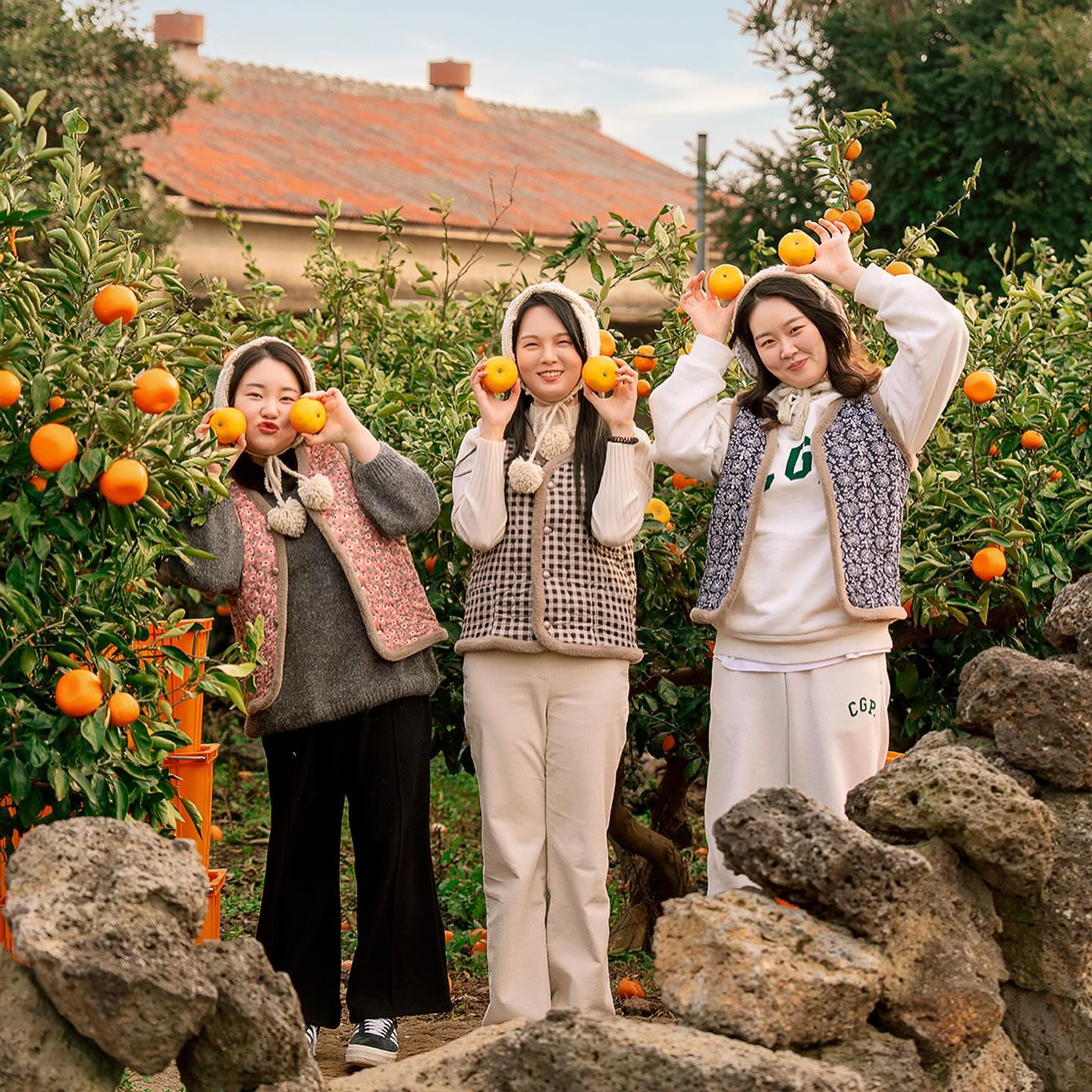 쌍큼 상큼 새콤 시큼🍋🍊