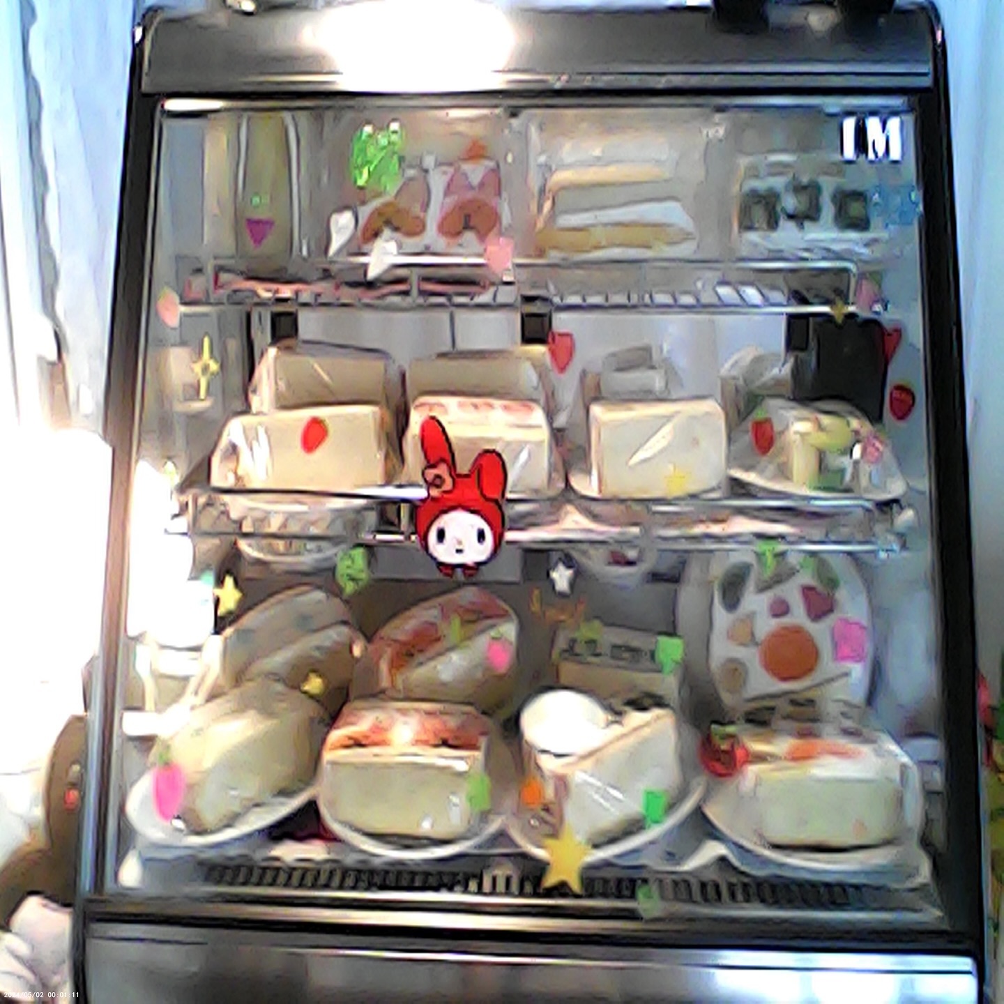 my dog‘s birthday-♡ party-☆˖ ࣪