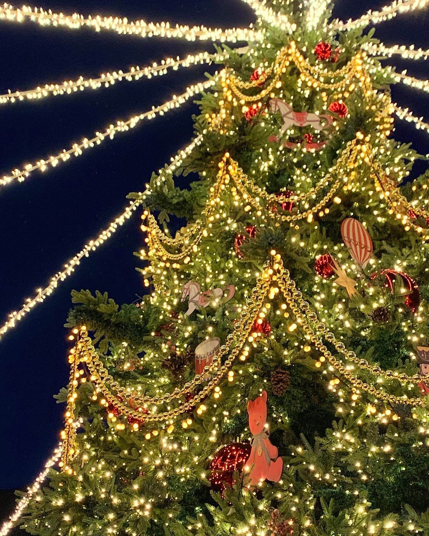미리 메리 크리스마스🎄
