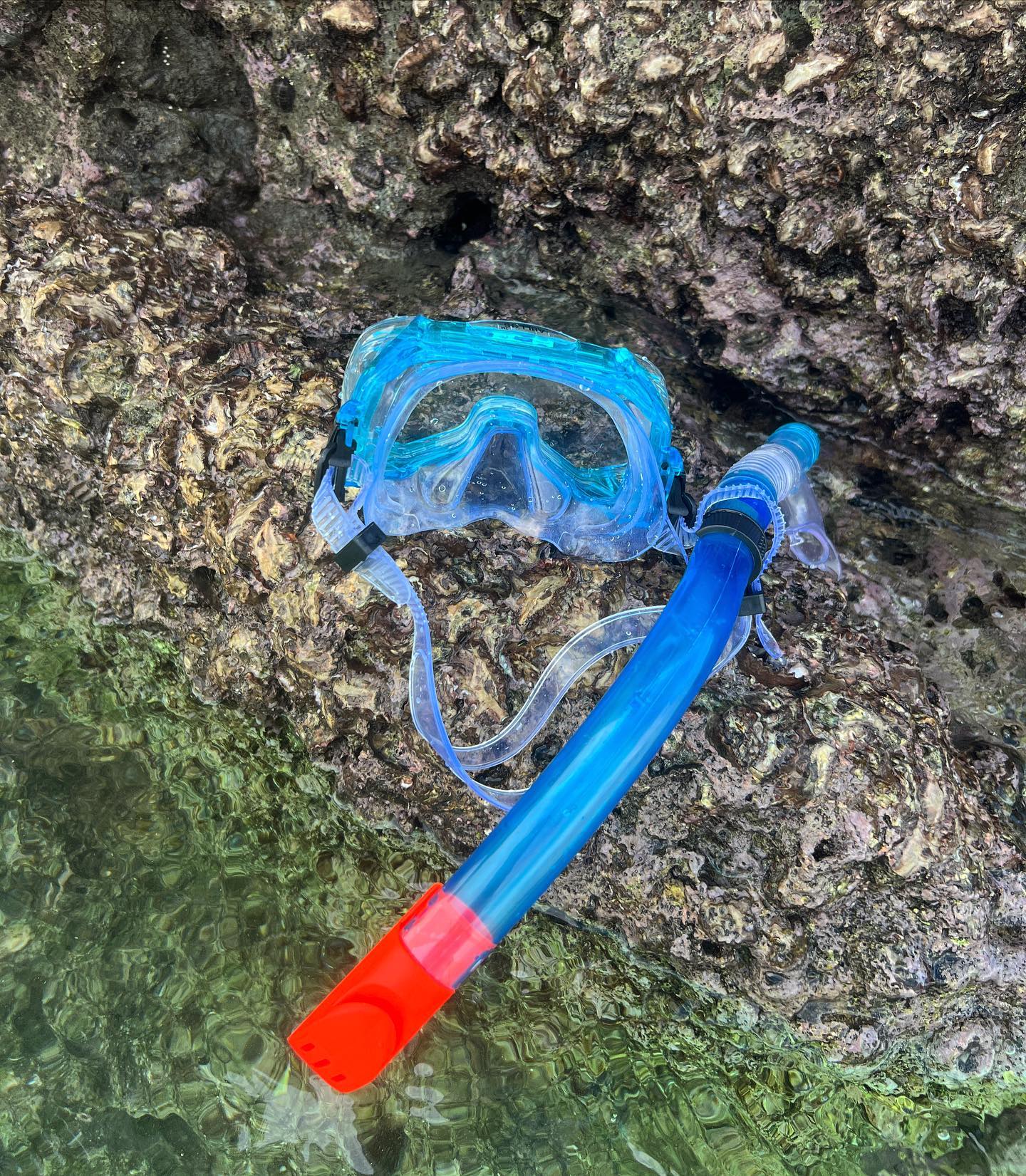 🥽🐢🐋