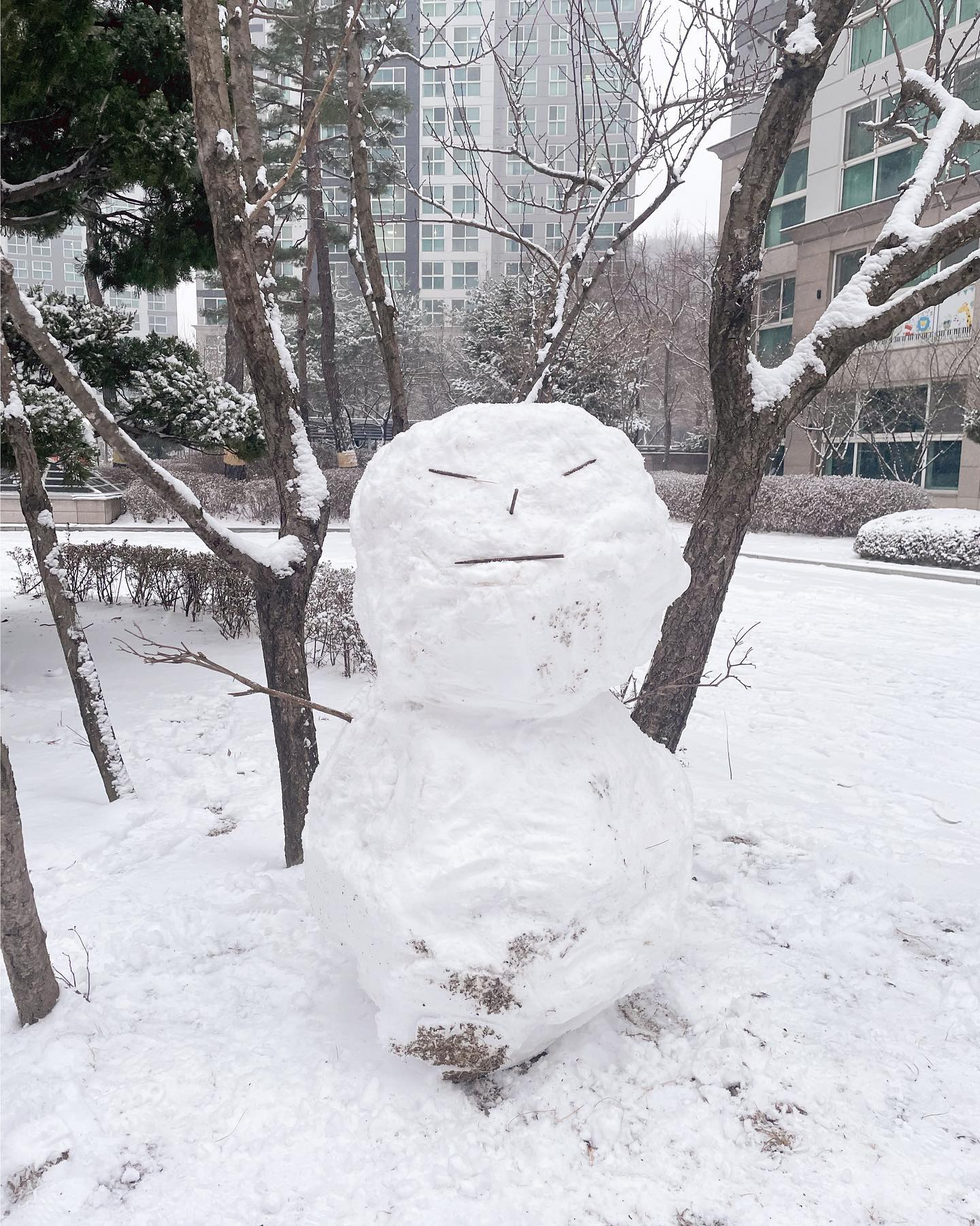 :)☃️⛄️
오랜만에 딸냄이랑 눈놀이 ❤︎ 
엄마는 작은 눈사람은 성에 안차 
눈 굴리기 시작함 ㅋㅋㅋ 
오랜만에 재밌었다 ◡̎ 
우리 딸이랑 둘이 이렇게 재밌게 노는게
얼마만인지 ꕤ 
엄마가 더 신난 하루 !

#다만들고나니허리겁나아픔 
#눈사람 #대왕눈사람 #눈오는날 #눈