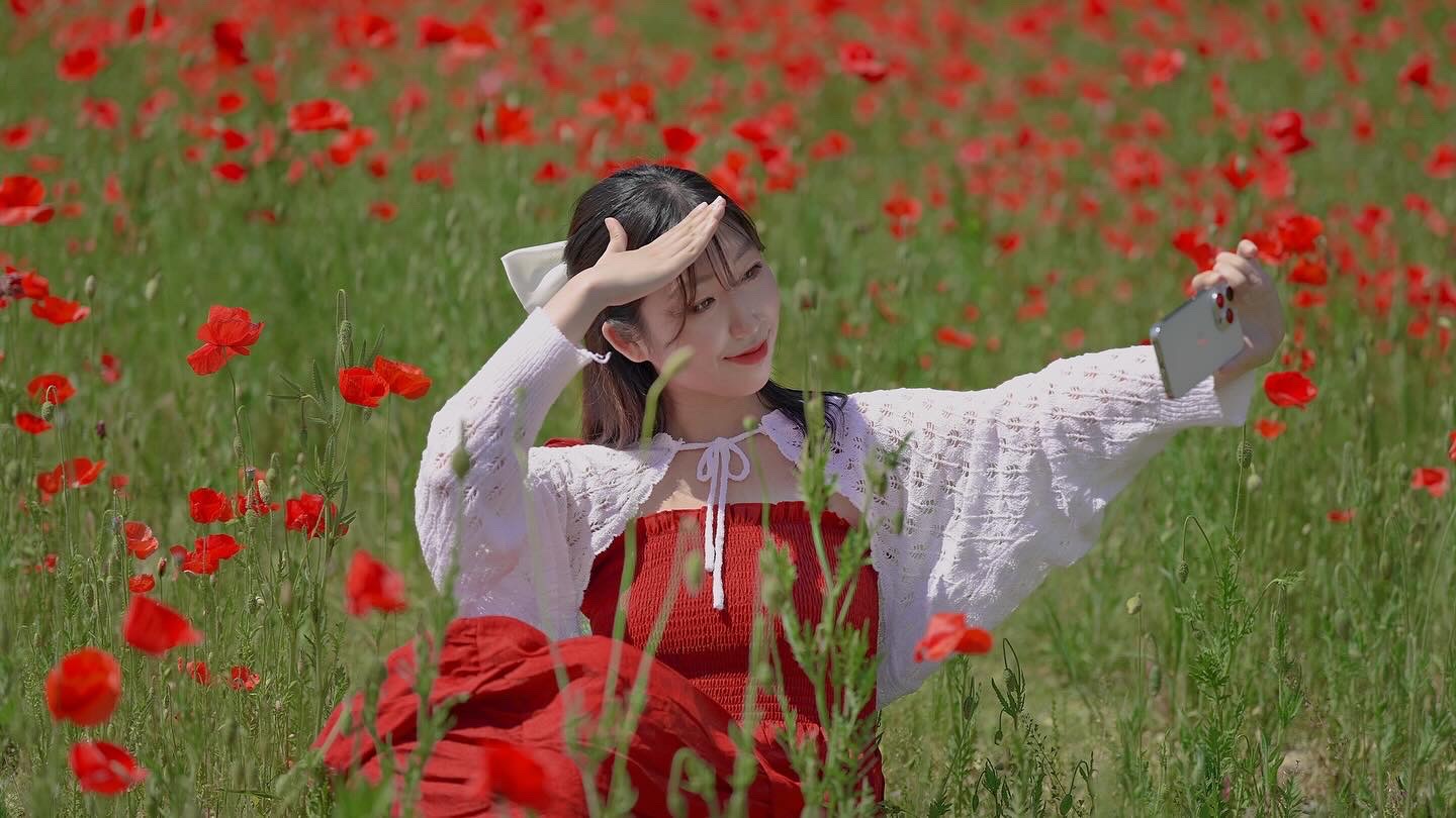 콘텐츠