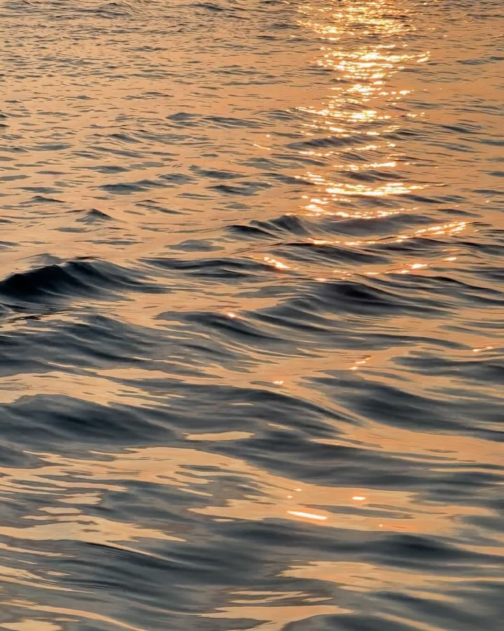 Waves for days ~ ♬⋆｡𖦹°🫧⋆.🪼
