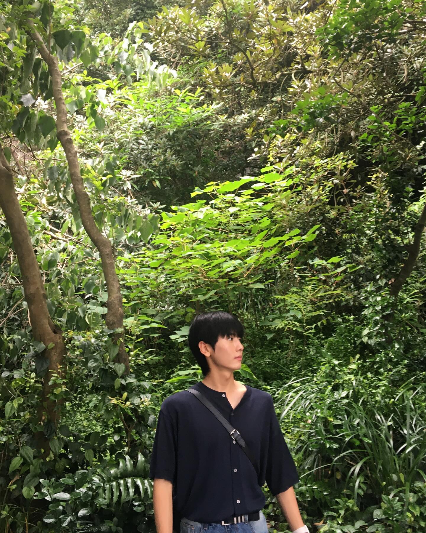 콘텐츠