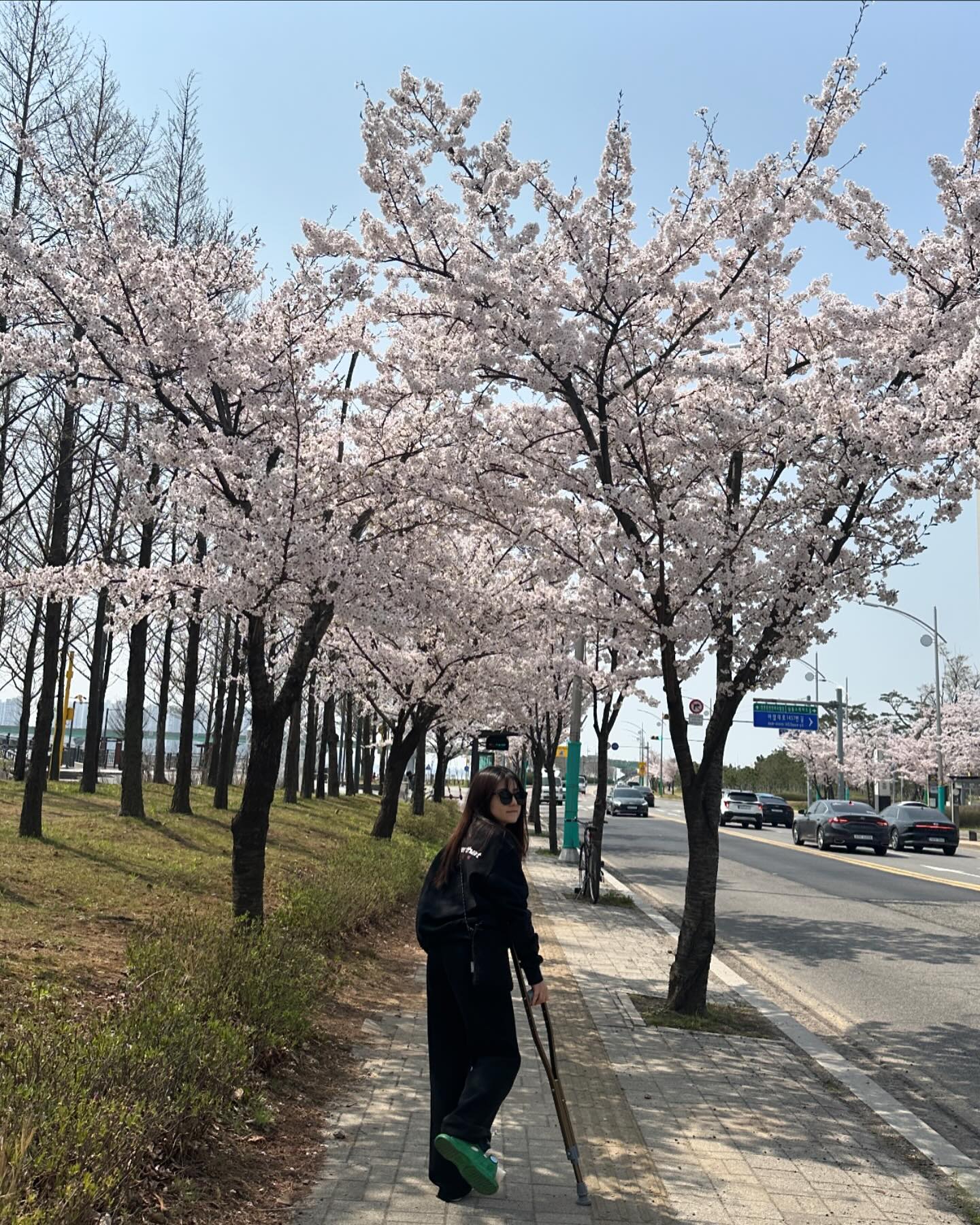 2024년...꽃구경..🚘