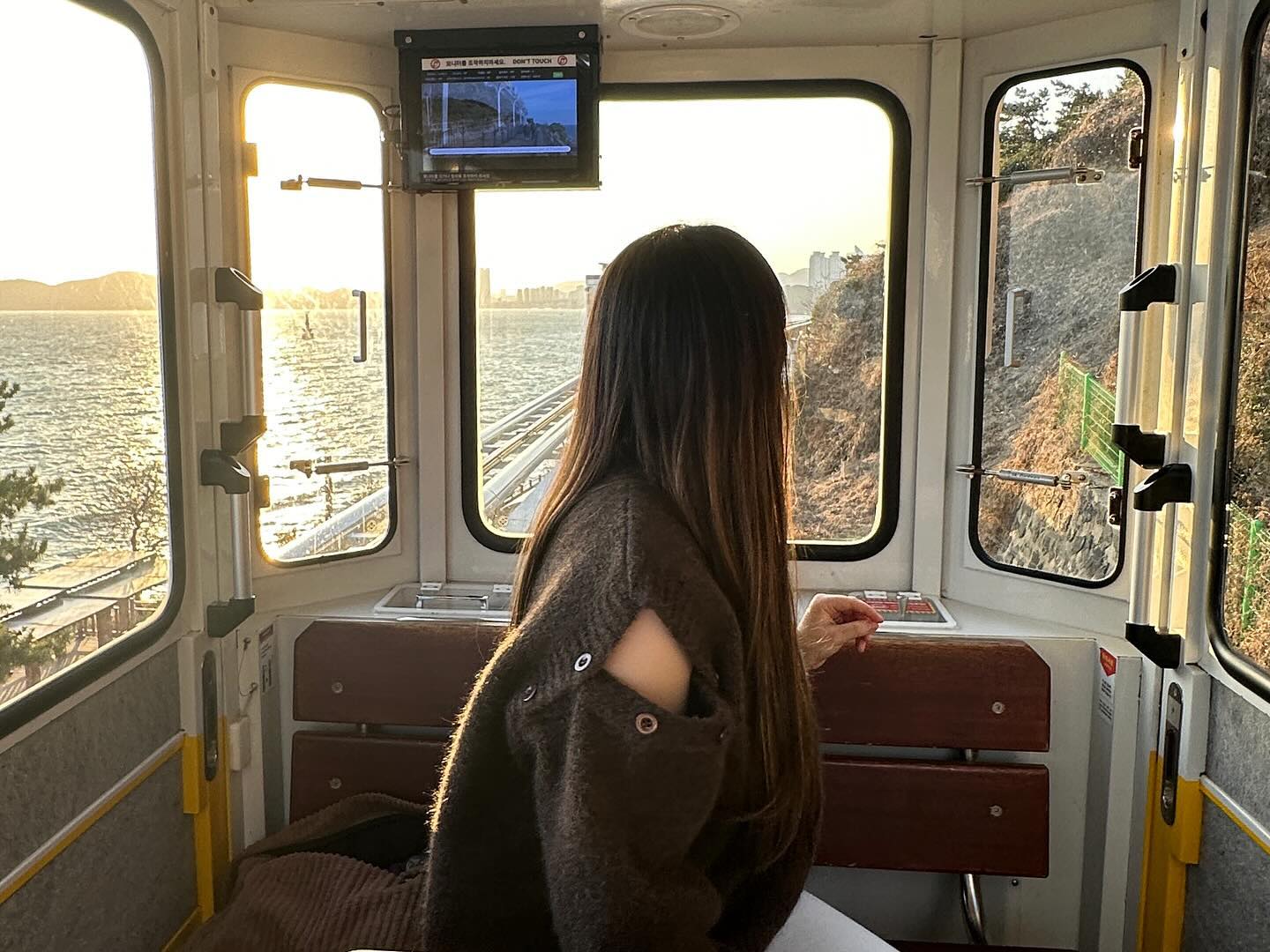 콘텐츠