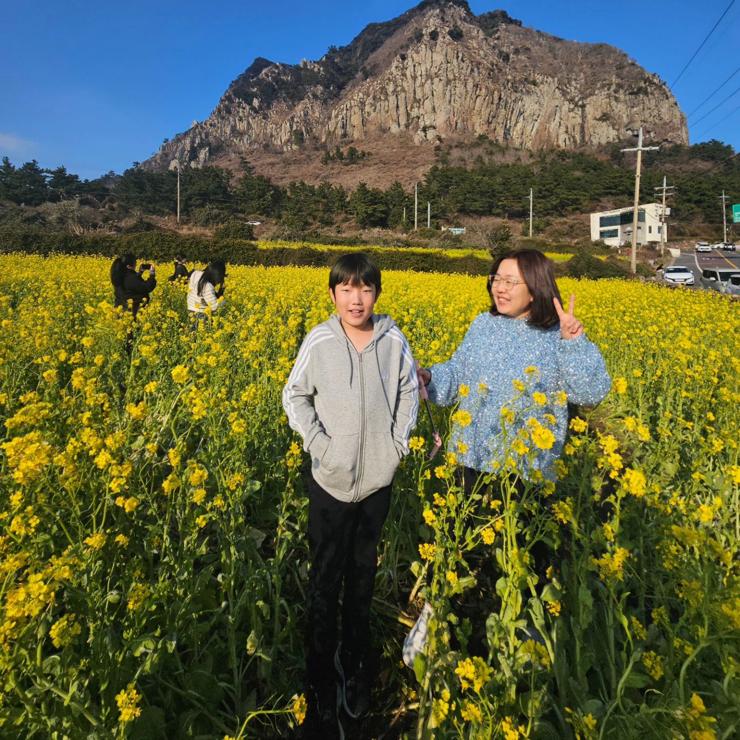 제주 산방산 유채꽃 활짝~~~
입장료 1천원씩 주고 사진찍고 향기에 취하고 너에 취한다

#유채만발 #유채꽃 #산방산유채꽃 #제주유채밭 #사랑해 #제주여행 #공짜아님  #산방산 #제주도여행 #농협손해보험 #농협손해보험전속설계사
