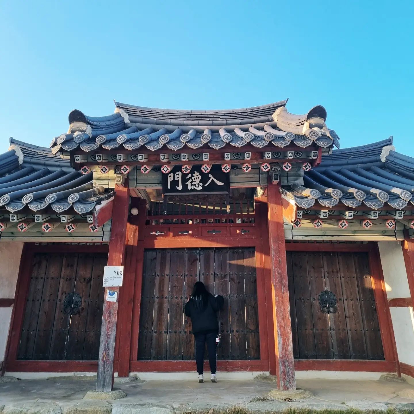 🍀 제작비지원 travel_league_ 🍀

#청년인플루언서 #여행후원 #팸투어 

▪️경상북도 상주
▪️2023 11월 18~19 (1박2일 일정)

#스압주의

 자랑할거 많으니 피드 나눠적기

▪️1일차 
상주에 점심쯤 도착해 맞이한 첫 음식은 할매칼국수
서울에서 내려왔다고하니 정말 반갑게 맞이해주시고
아침부터 할머니께서 직접 빚어 만들어주신 칼국수
그리고 직접 전부 만드신 반찬으로 되려 더주려고
마치 우리 할머니가 생각나던 정겨운 식당 🥺
갈때까지 추운데 문 열고 마중나와주신 할머님께
우리 시골집 할머니가 생각나던 식당이었다🥹

밥 먹고 나와 카페에서 시그니처 메뉴 즐겨보기
 둥시 라는 감 명칭을 따온 이쁜 카페안에서
시그니처메뉴 둥시라떼 둥시스무디가 있었지만 라떼를 못 먹는
나는 둥시 스무디를 먹으며 상주에 도착했다는걸 실감하기 시작했다 🍊🍊

시내투어에 중앙시장 방문 전 근처에 있던 
작고 따뜻한 감성 넘쳐나는 오롯서점 📚
작은 서점에서 같이 책도읽는 모임도 하시는거같고
작아도 나름 국내외 장르별로 웬만한 서적이 있고 
상주생활이 담긴 마음따스한 서적들이 눈에 많이 담겼다

서점에나와 근방에 상주 중앙시장 들러 고려분식에서 만두 먹어주고
아 참고로 여기 만두 직접 다 빚으신다
도시에서 먹어본적없는 육즙 한가득 만두 였다 
⚠️ 웨이팅 주의 ⚠️

경첨섬 근방에 도남서원은 열리지못해 외부만 살짝 구경 후,
(메인피드가 도남서원 🤭)

경첨섬 내에 자전거타고 경첨섬 구경하기
날씨만 좋았더라면 ... 🫠 넘츄어오
그렇지만 경치 볼거리 너무너무 많아 다 둘러보진 못했지만 
다 돌면 한두시간 내외로 된다고 하니 여유잡고 들려보기 ! 

경첨섬에서 자전거 탔으니 근방에
엑티비티하면 상주 자전거하면 상주 답게
상주 왔으니 자전거박물관 둘러보기
자녀들과 방문해보기 추천드려용 !! 💕

저녁에 방문한 개운궁에서 능이버섯전골도 먹고
이 때 처음으로 접하게된 상주 대표 소주 깨끗한아침 참
이라는 소주를 접하게 되어따!!!! 👍

숙소안에 들어가 혼자여행 힐링 묘미는 호캉스하며 배달음식 시켜서 소주마시기
결정하기 어려워하는 나는 2시간동안 고르고 골라 
치즈알곱창에 상주 대표주류 참소주로 결정 ㅎㅎ
참소주는 처음처럼 진로같은 느낌이났다

그렇게 처음 방문한 경북 상주에서
첫날밤은 ... 길었다 😳

#상주여행추천 #상주여행 #경상도여행 #혼여행 #한국관광공사 #여행협찬
#호캉스 #상주할매칼국수 #상주맛집 #경상도맛집 #참소주
#상주자전거박물관 #상주개운궁 #경첨섬 #상주자전거코스 #상주데이트코스
#상주중앙시장 #상주오롯서점 #상주둥시 #도남서원 #트래블리그 #청년관광공모전 #할매니얼