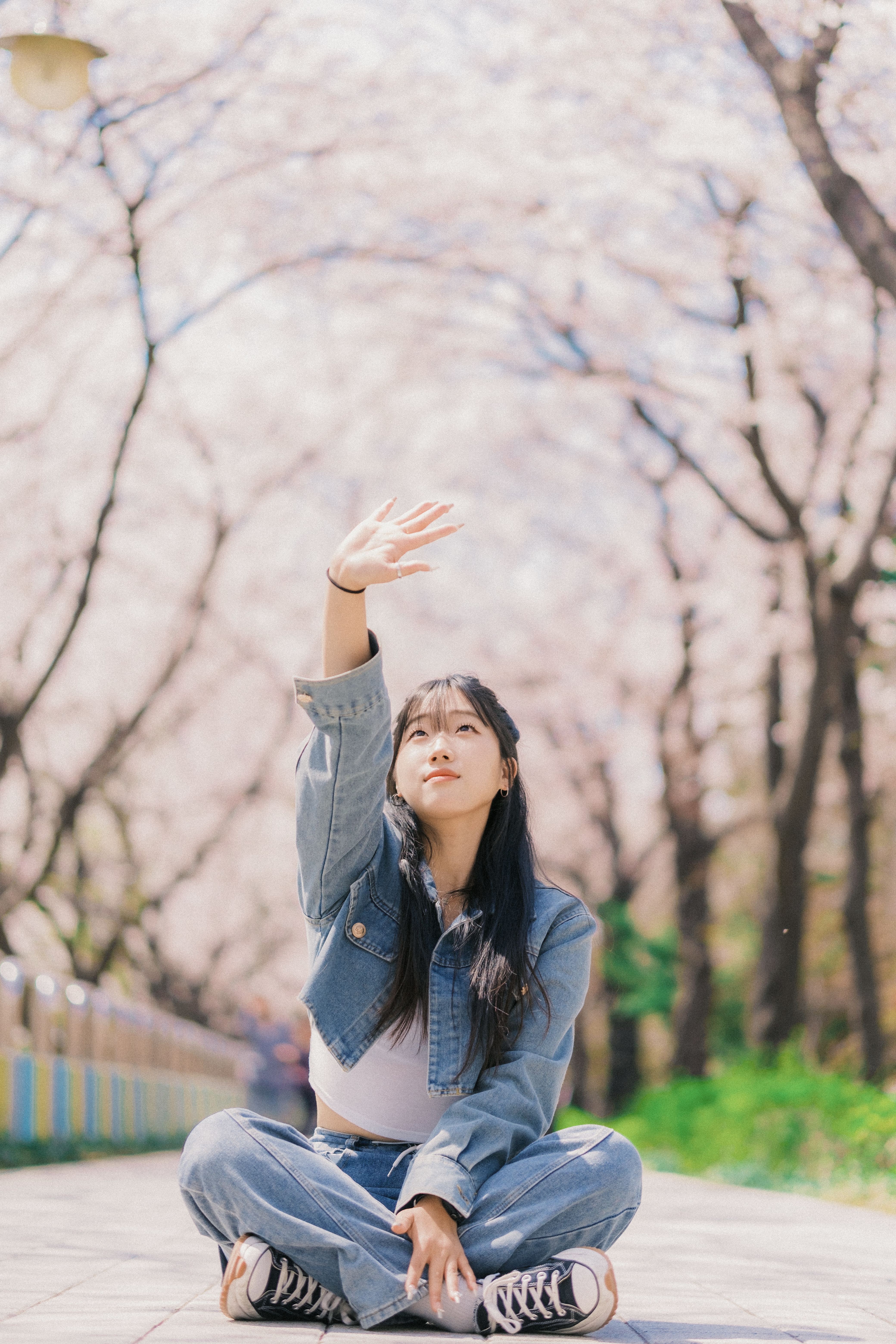 콘텐츠