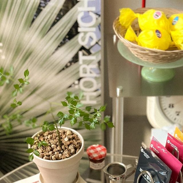  슬기로운홈앤라이프 | 집꾸미기 홈카페 diy on Instagram: "#광고 맥널티 드립백 세트 ☕️

다채로운 맛과 향을 느낄 수 있는 싱글오리진 
원두 5종(x6개입)이 들어있는 맥널티 드립백 세트!
하루 1잔 씩 한 달을 풍성하게 즐길 수 있는 30개입 구성.
.
로스팅만 25년을 해온 커피계 장인급 브랜드
’맥널티‘가 직접 만든 핸드 드립 커피 세트에요.
커피 전 분야 Haccp 인증을 받은 곳이고, 
320개 검사 항목 통과한 생두만 사용하여
만들어져 안심하고 먹을 수 있는 커피랍니다🤎
.
개별 질소 충전 포장으로 신선한 커피의 향과 맛을
오랫동안 유지할 수 있어 여유롭게 소진 할 수 있어서 좋아요.
가끔 머신으로 커피 내려마시기 번거로울 때가 있는데,
그럴 때 휘리릭 뜯어서 한잔 마시기 참 좋은👍🏻
드립 커피 한잔 내리는 동안 향은 어찌나 좋은지요~

🇧🇷브라질 벨리스타 핸드드립 원두 커피
커핑노트-브라운슈거•아몬드•핵과
은은한 산미와 아몬드의 고소한 맛, 묵직한 갈색 설탕의 단맛이
조화롭게 느껴지는 커피였어요. 과일의 새콤한 향미와
고소한 단맛의 밸런스가 좋았던 커피에요.

🇧🇷브라질 세라도 NY.2 핸드드립 원두 커피
커핑노트-오렌지•브라운슈거•감귤
브라운 슈거의 단맛과 볶은 땅콩의 고소한 향이 느껴지는
구수한 커피였어요. 해발 1000m가 넘는 대지의 기후 토양,
지하수 필수 조건을 지켜 생산한 원두로 만들어졌대요!

🇨🇴콜롬비아 수프리모 핸드드립 원두 커피
커핑노트-오렌지•카라멜•밀크초콜릿
오렌지의 산뜻한 향미와 카라멜과 초콜렛의 부드러운 단맛이
느껴졌던 우아한 향과 달콤한 맛이 매력적인 커피였어요.
콜롬비아는 비옥한 화산재 토양이라 균형잡힌 산도와
풍부한 바디의 맛을 볼 수 있어요.

🇪🇹에티오피아 예가체프 핸드드립 원두 커피
커핑노트-자스민•살구•홍차
화사한 꽃 향과 스쳐가는 과일의 향이 기분 좋게 느껴졌던 커피.
해발 1700m 이상 고지대에서 재배되어 고급진 맛을 담고 있어요.
꽃 향기, 커피 체리의 과육 향, 와인의 맛과 향, 
고구마의 달콤함을 느낄 수 있는 커피에요. 

🇬🇹과테말라 shb 핸드드립 원두 커피
커핑노트-밀크초콜릿•너트류•오렌지
밀크초콜릿의 단맛과 고소한 너트류의 향, 오렌지의 산미. 
가장 높은 등급의 생두를 로스팅한 커피에요.
다 마셔봤는데, 이 맛이 제게 가장 잘 맞더라고요!

💗집에서도 전문가가 내려준 신선한 드립 커피 맛 보셔요💗
Thanks to 🏷️ @mcnulty_official 

_
#맥널티 #드립백세트 #맥널티커피 #커피 #드립백 #핸드드립 #드립백선물세트 #커피종류 #홈카페 #집꾸미기 #커피타임 #dripbagcoffee #dripbag #coffeetime #coffeelovers"
