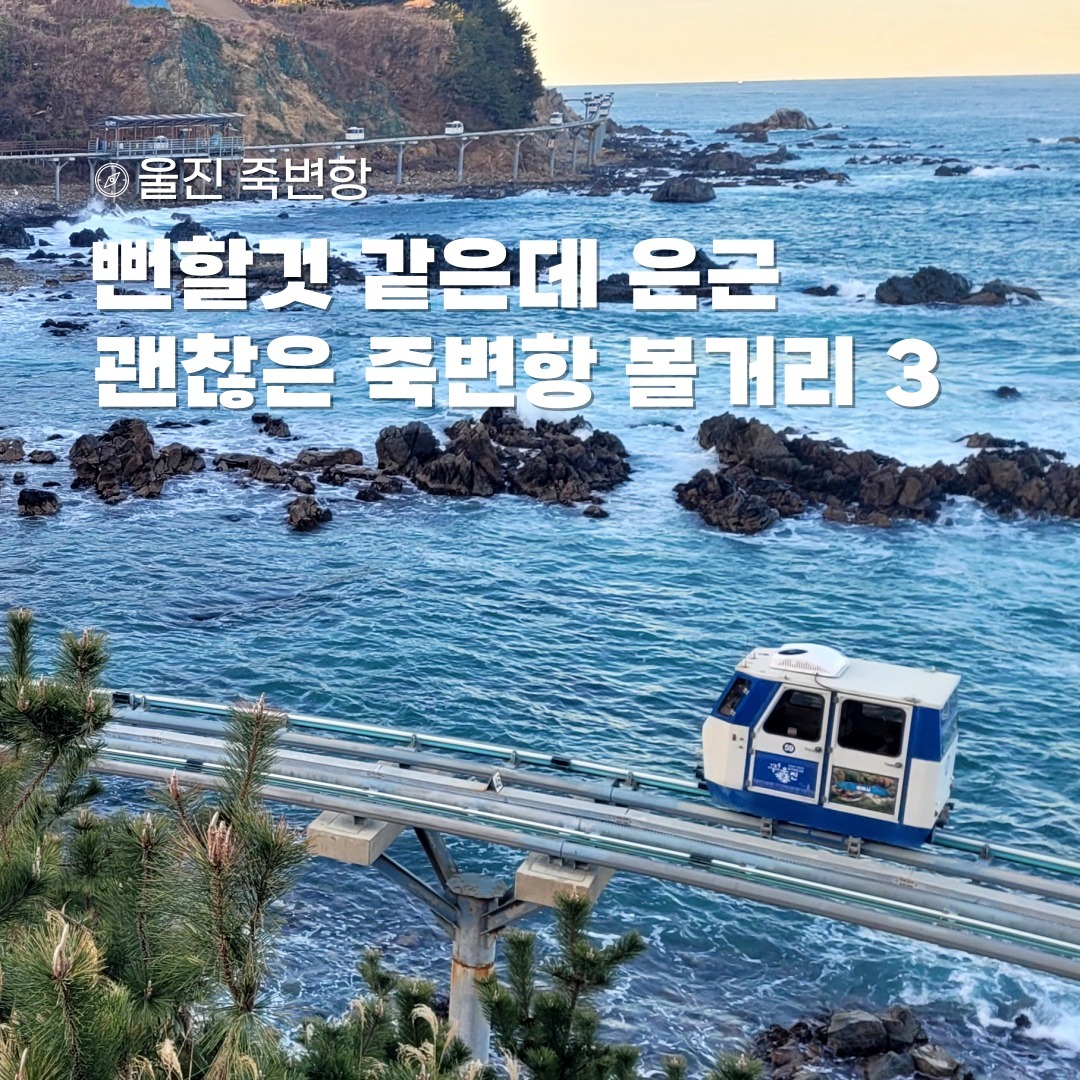 별거없겠지 하고 갔다가 큰코다친 
울진 죽변항 볼거리 3가지 !!

🌊1,8-9ㅣ스카이레일 
 운영시간 09:30 ~ 18:00
 이용요금(2인기준) 21,000원
 온라인예매못해도 현장발권가능
🌊2-3ㅣ하트해변
🌊4ㅣ골목벽화 
🌊5-7,10ㅣ폭풍속으로 세트장 

#죽변항스카이레일 #울진죽변항 #죽변항놀거리 #울진놀거리 #피렌체고궁 
#폭풍속으로 #폭풍속으로세트장 #폭풍속으로촬영지 #하트해변 #울진가볼만한곳 #울진핫플 #울진오션뷰 #울진오션뷰카페 #울진오션뷰펜션 #절미일기_울진 #여기서행복할것 #숙소기록