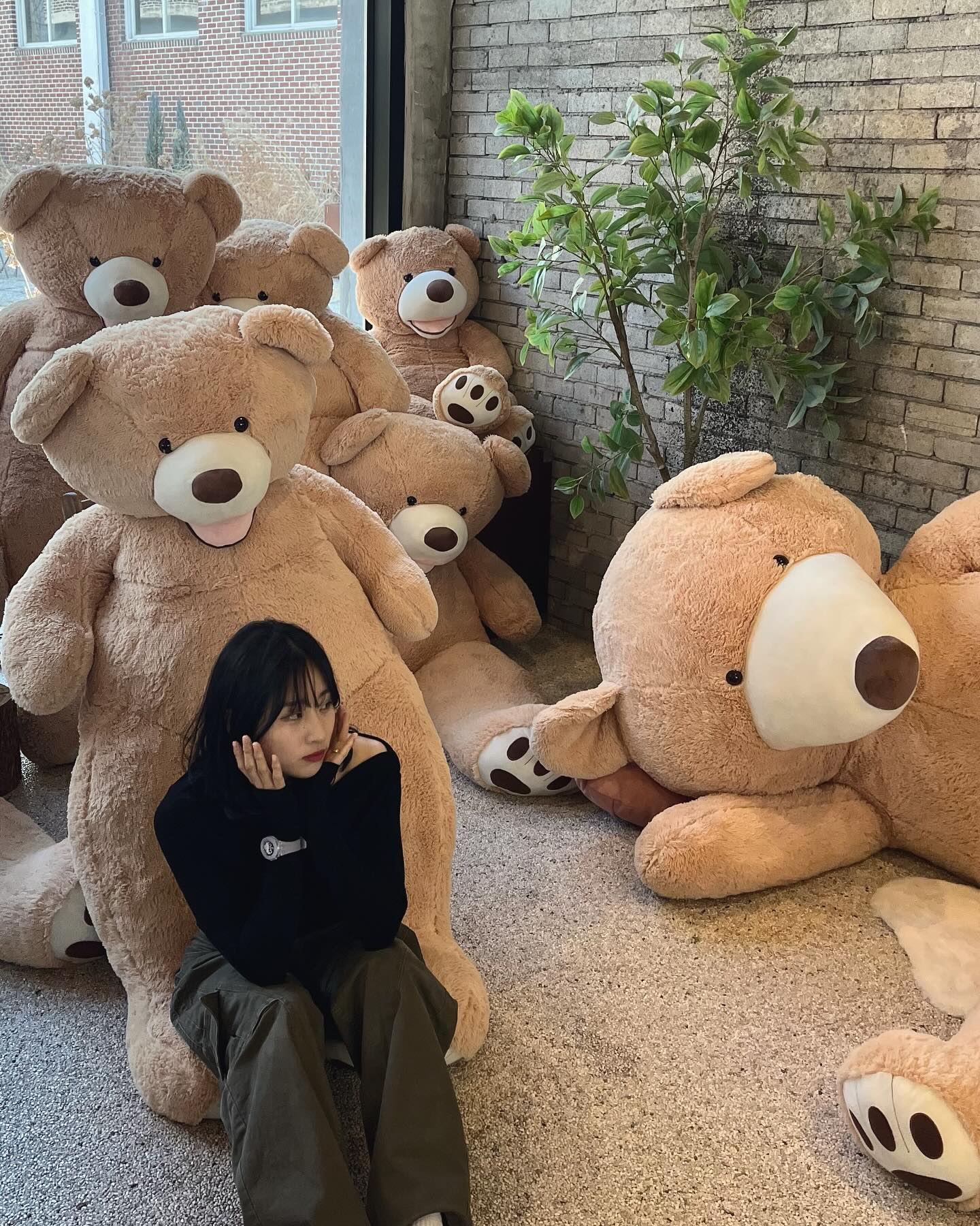 곰인형지옥,,🧸
