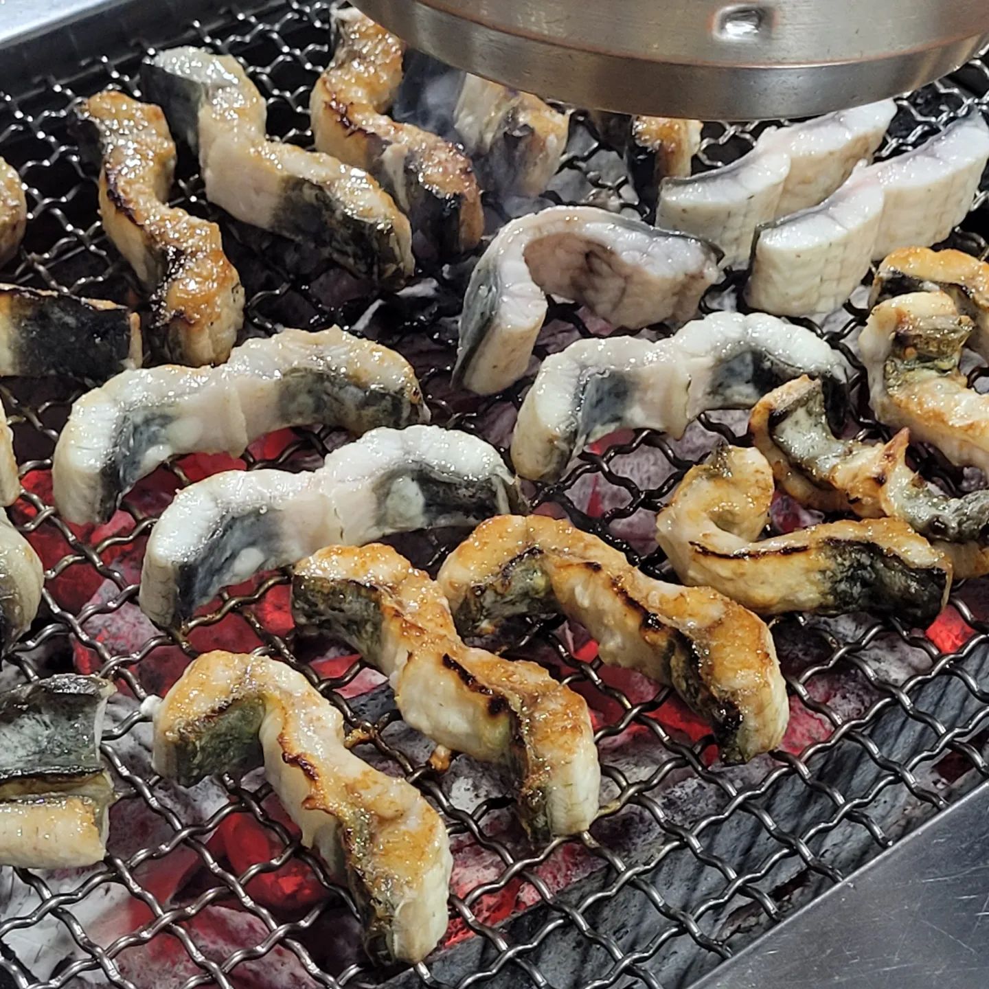 안녕하세요 코리아 힘이 넘치는 남자 냉편입니다.

이번 설에는 코로나에 재확진된 와이프와 함께 해쳐나가는 질병 어드벤처 였습니다.

몸이 노곤노곤하야 어쩔 수 없이 기력회복을 위한 도핑을 해야했는데요.

몸에서 아르기닌을 요한다는 것을 확인하고 곧바로 장어를 먹으러 달려갔습니다.

저희가 간 곳은 수원 호매실에 위치한 기와집장어라는 곳이였습니다.

장어집은 문전성시를 이루고 있었습니다. 저희는 연약해진 몸을 건장하게 하기위해 장어 1kg를 시켰는데요.

지글지글 불판위를 춤추는 것을 보니, 행복이란게 멀리있는게 아니라는 것을 깨달았습니다.

맛은 굿맛, 굿잡, 굿테이스트 였습니다. 아는맛은 무섭습니다. 먹는 순간 다시 자세히 알려주거든요~

글을 쓰고나니 또 먹고싶네요.

날씨가 매우 춥습니다. 동파 조심하시길 바랍니다.

저는 물러나볼게요. 그럼 이만.

#기와집장어 #장어구이 #장어맛집 #수원맛집 #호매실맛집 #맛집 #몸보신 #기력보충 #먹스타그램 #먹팔 #맞팔 #선팔 #팔로우 #flf #follow #팔로우환영 #팔로우좋아요