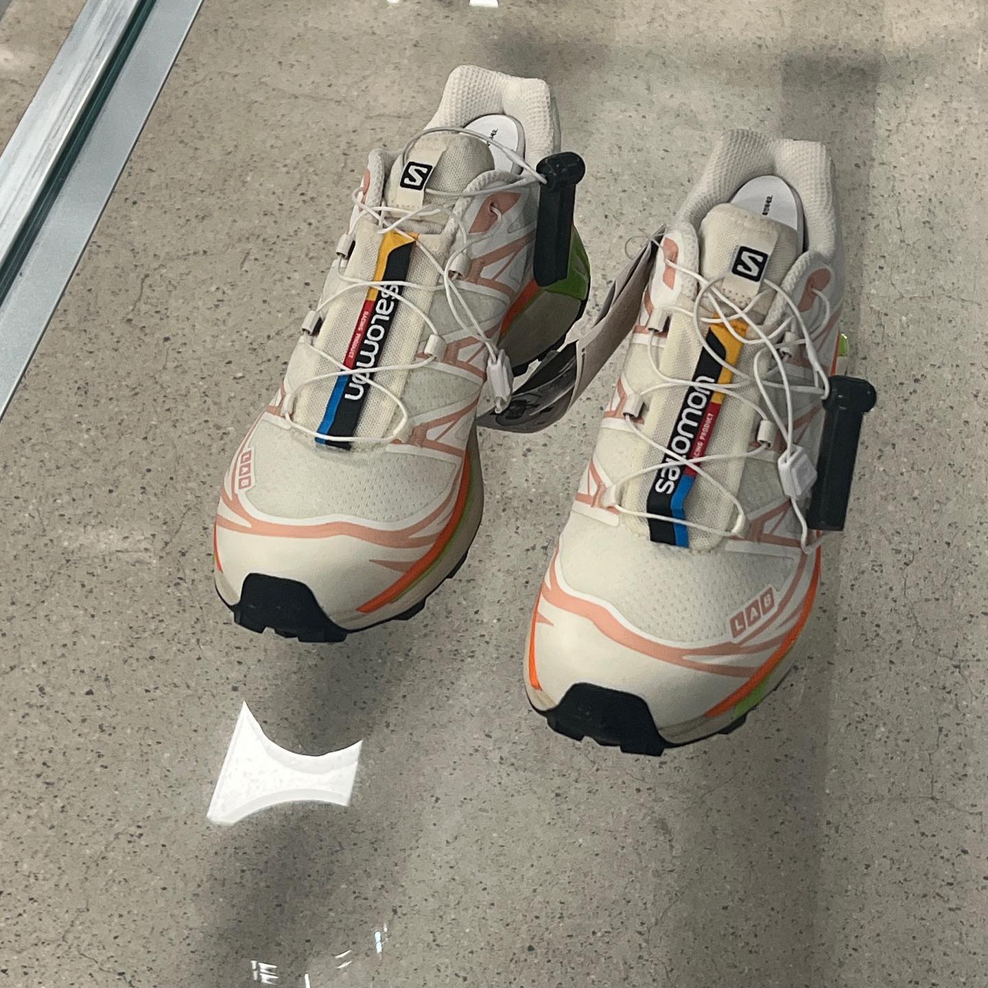 드디어 봄, 월춘준비🌸