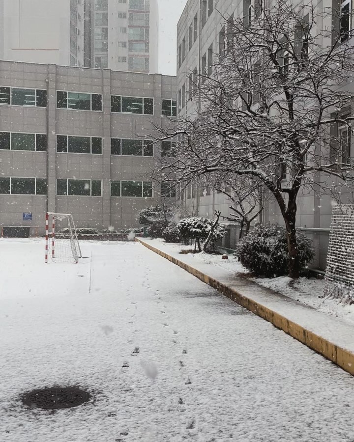 콘텐츠