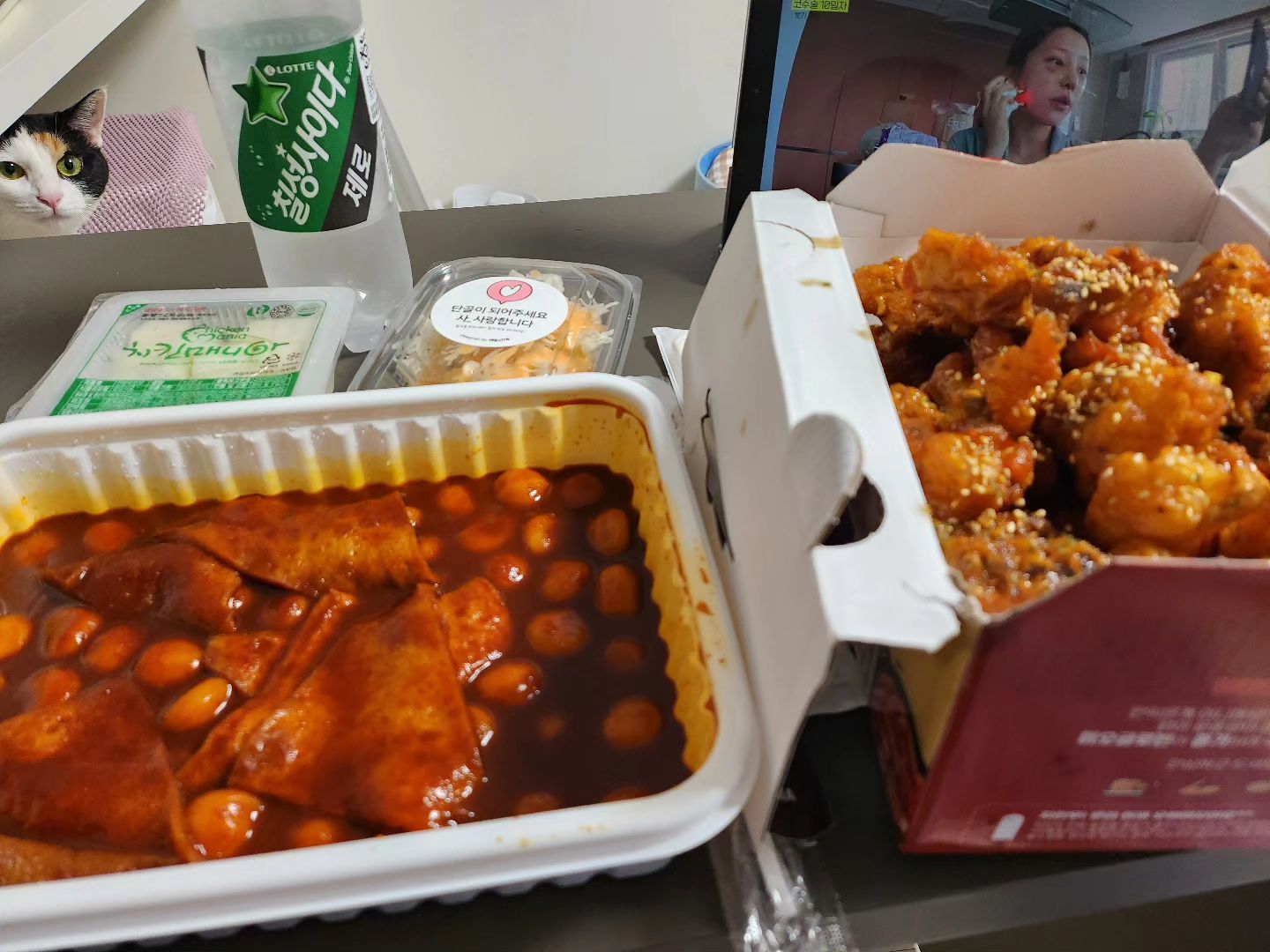 치킨이랑 떡볶이 자랑하려고 사진 찍었는데 시강 고양이🐱👀✨️
