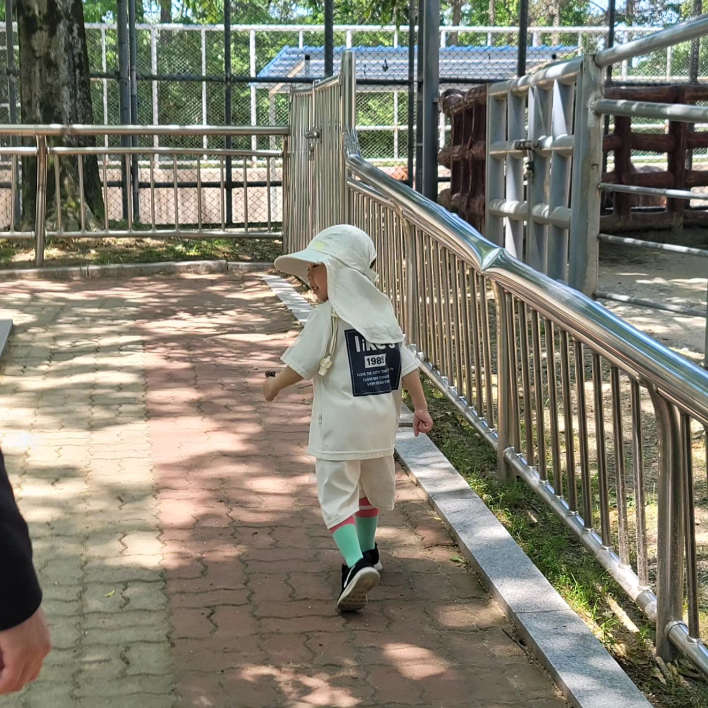 𝗗+𝟭𝟮𝟭𝟬 𝚑𝚊 𝚢𝚞𝚕♥︎ 

저번 케이블카때 동물원 못가서
진양호 동물원으로 .ᐟ.ᐟ

날 더운거 알고 가볍게 입혔는데도
갈수록 점점 헐벗는 하율잏ㅎㅎ
좋아하는 사슴 만져도 보고
인생 첫 솜사탕도 먹어본 날 ﾟ‪‪༘༘ ˖࣪ 

동물원에 돗자리 깔을 만한 곳이 없어서
미니사이즈 뮤라 방수패드 챙겨갔는데
벤치 사이즈랑 딱이라 오히려 좋아 🫶🏻🫶🏻

덕분에 작은 벌레랑 먼지 걱정없이
피크닉 기분내기 성공 🍀

▪︎방수패드 mula_bedding 
.
#아기랑나들이#동물원나들이#진양호동물원#피크닉#방수패드#뮤라