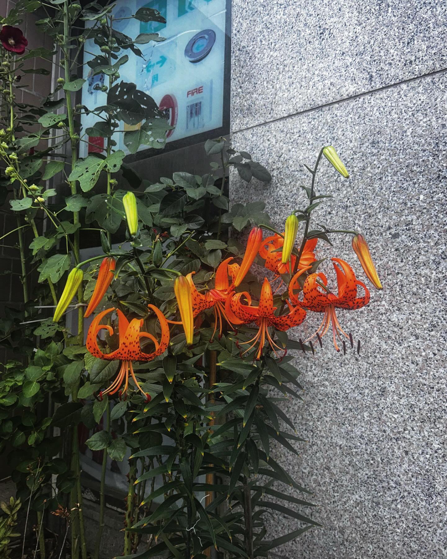 자연인이 되어가는중..
