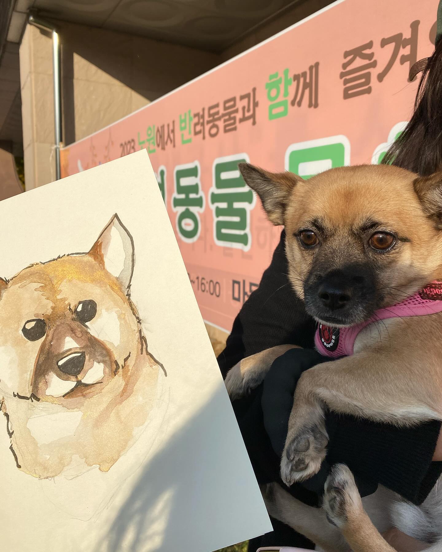 녹두 반려동물문화축제에 다녀왔어요~
개꿀잼이어따~😎

#노원반려동물문화축제 #강아지캐리커처 #멍팔맞팔