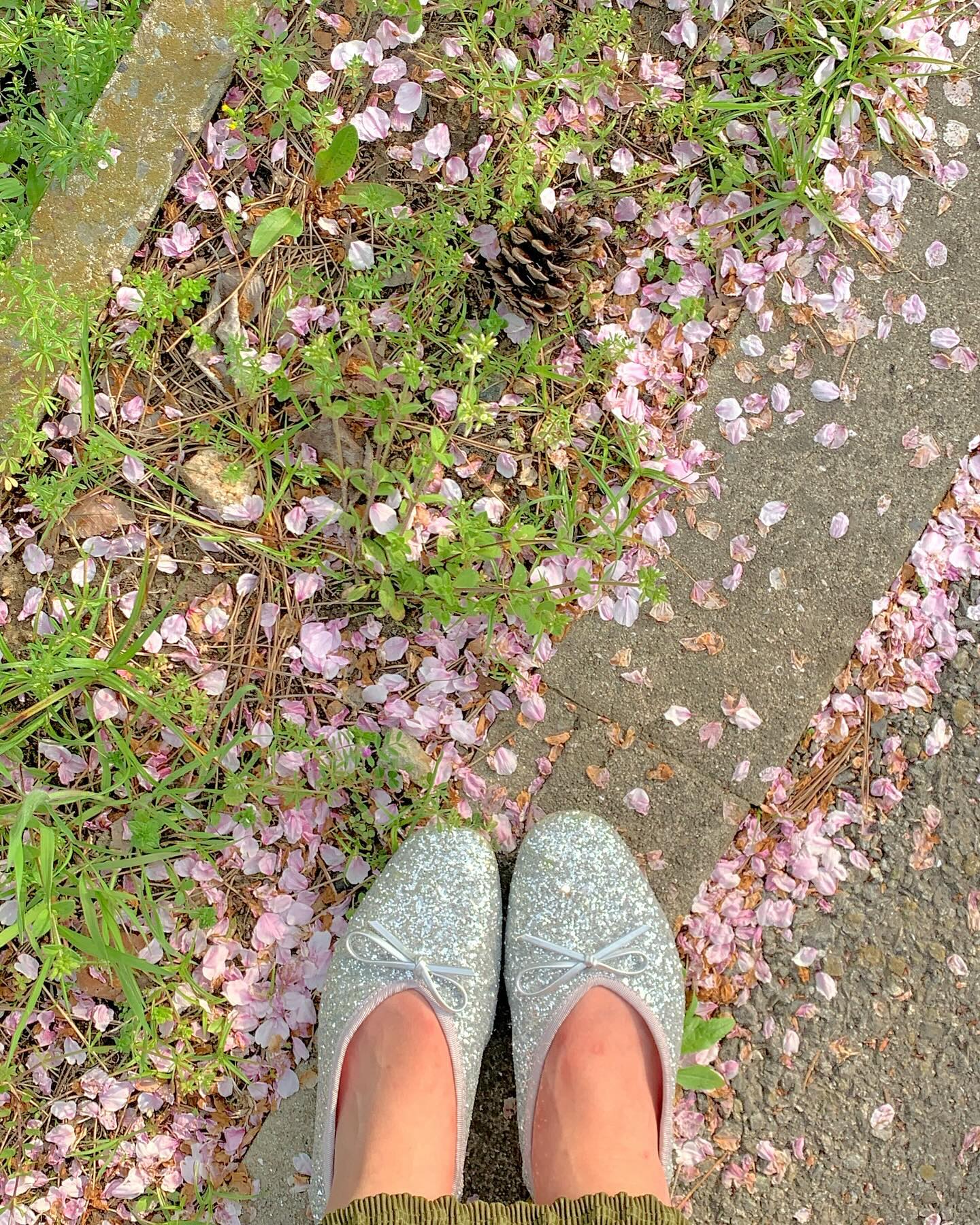 🎀 집순이도 찐구들 덕분에 관람완료,,, #가을인척