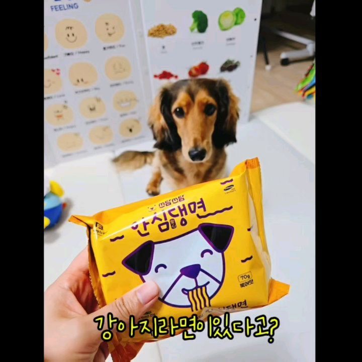 #협찬

사람만 라면먹으라는법있나? 댕댕이도 라면먹을 수 있다!
coreadog 에서 만든 #안심댕면 이라고 아시나요?🐕

사람보다 짧은 소화관을 가지고있는 강아지는 유탕면(기름진음식)을 먹으면
소화불량을 일으키지만 안심댕면의 면은 튀기지않고 자연건조로 말린 건면을 사용해요
유탕면은 외부공기접촉시 산패가되어 변질 위험성이 높지만
건면은 보존성이 높아 외부 공기 접촉시 산패를 막아준답니다!

✔️칼로리는down, 소화는good
✔️동결건조 단일 유산균함유
✔️콜라겐함유
✔️키토올리고당 함유

보약으로 불리는 북어와 칼슘덩어리 치즈로 만들어진 스프와
흰보리쌀보리와 통밀을 사용한 면으로 유해성분 NO‼️
100%휴먼그레이드제품이예요

자기껀줄알고 근처에서 어슬렁거리다 주니까 맛있다고 냠냠
이제 엄마아빠만 맛있는라면먹지않고 우리 구월이도 챙겨줄께?😉

본 피드는 제품을 제공받아 체험 후 솔직하게 작성된리뷰입니다.
.
.
.
.
#국개대표 #국개대표안심댕면 #안심댕면 #강아지라면 #강아지건면 #강아지특별식 #국개대표라면 #국개대표강아지라면 #강아지간식 #강아지보양식 #강아지기력충전 #강아지영양식 #강아지라면추천 #반려동물라면