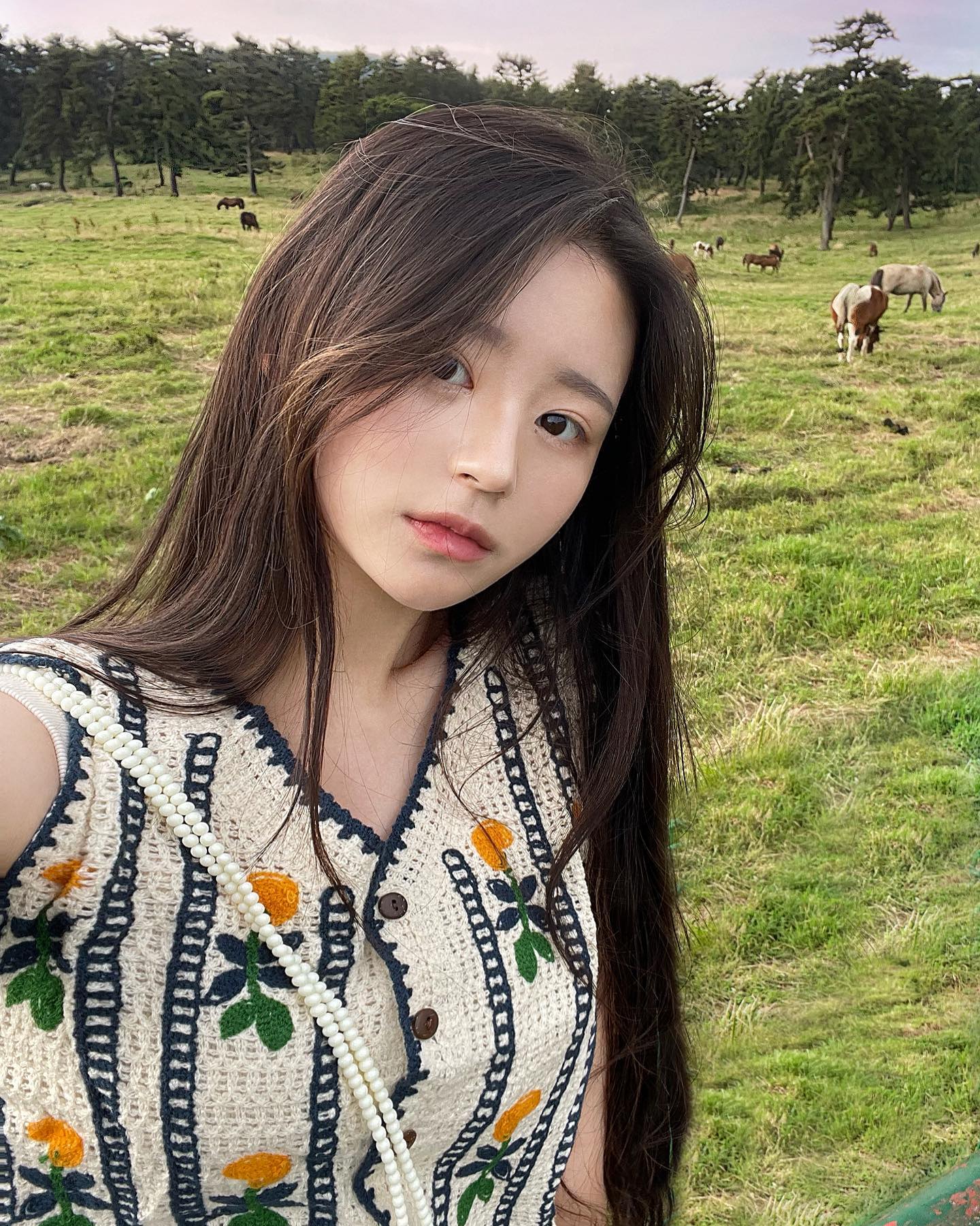 말 궁둥이들과