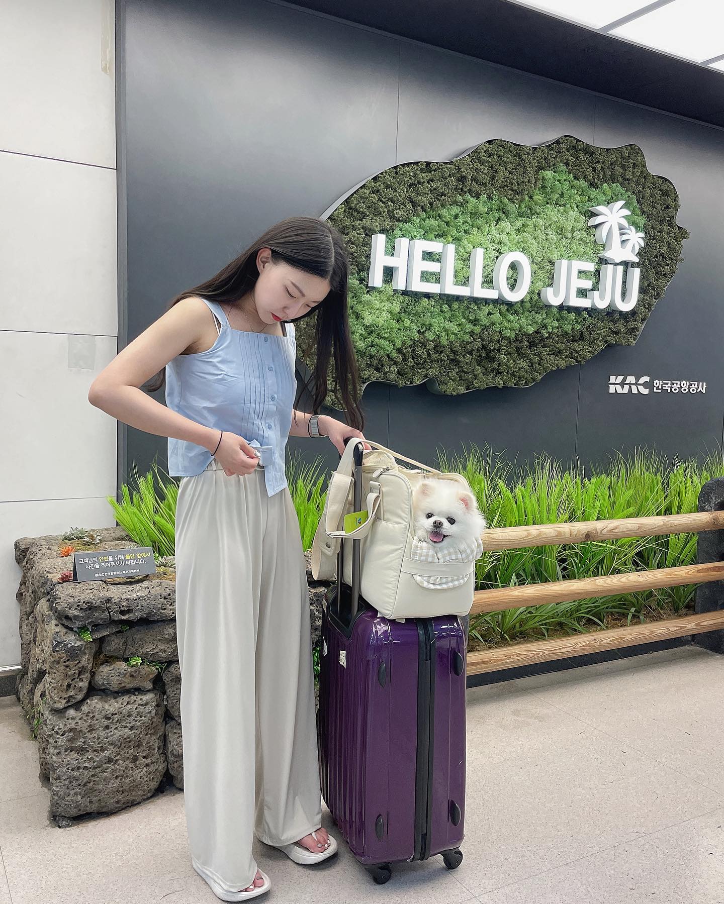 사랑이의 첫 비행✈️

너무 데려가주고 싶었던 제주도
버킷리스트 달성🏝️🏝️

기내에서 중간중간 울때마다
케이지 문열어서 안아주고 싶었는데
그러지 못해서 속상했지만ㅠㅠ

행복해보여서 언니도 행복🤍