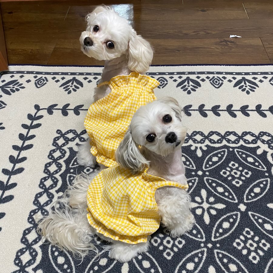 내행복💛