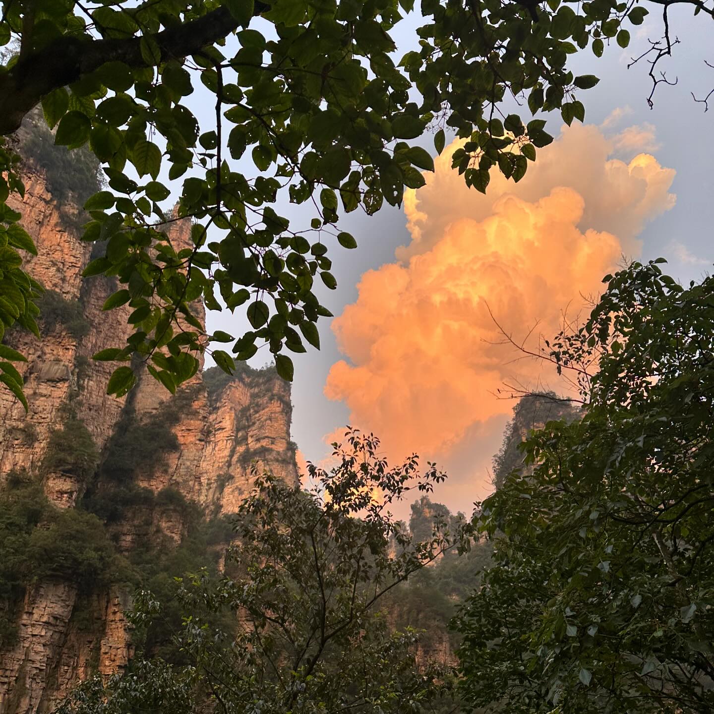 最爱好的时间在张家界🌅