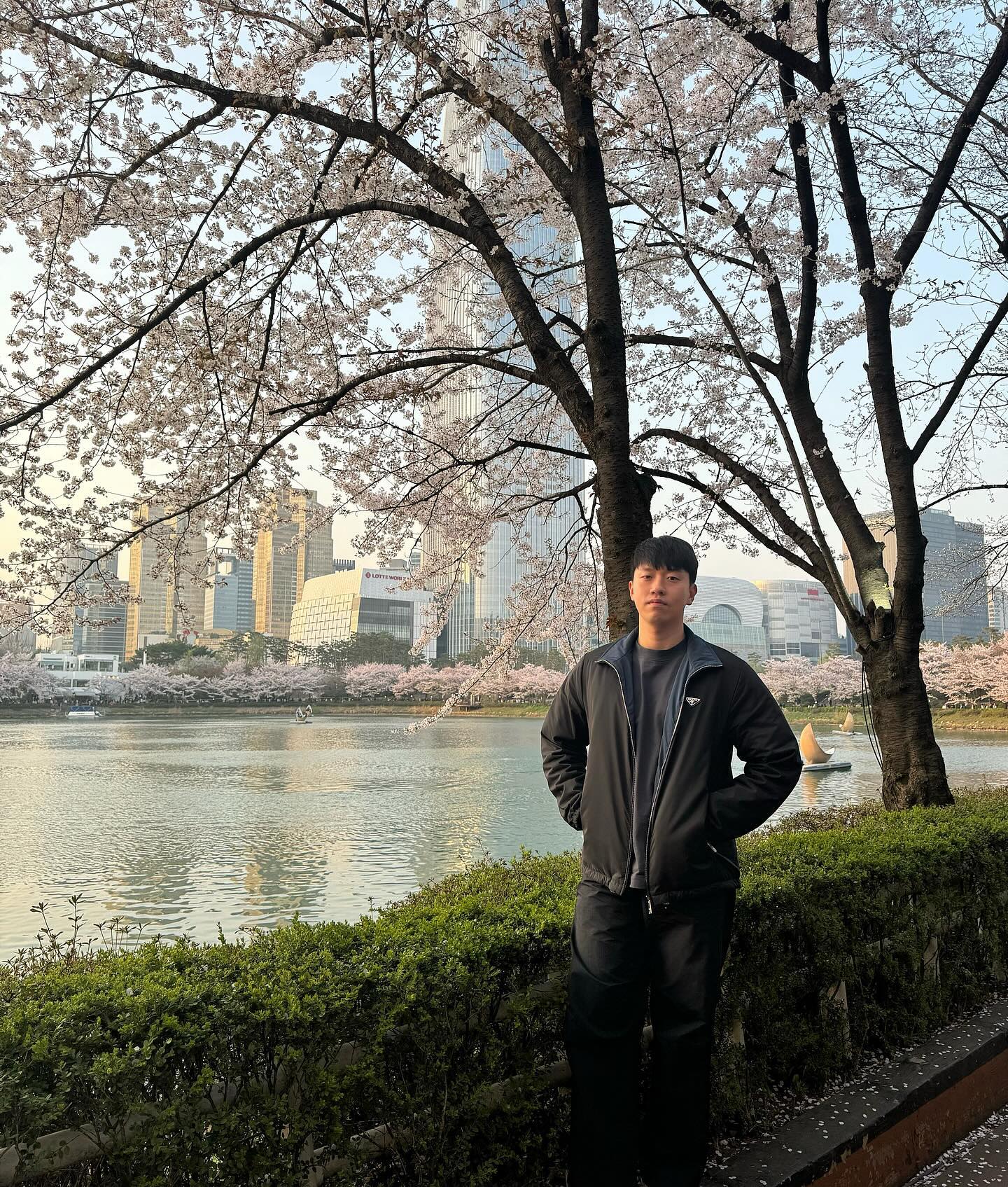 2024 벚꽃 🌸