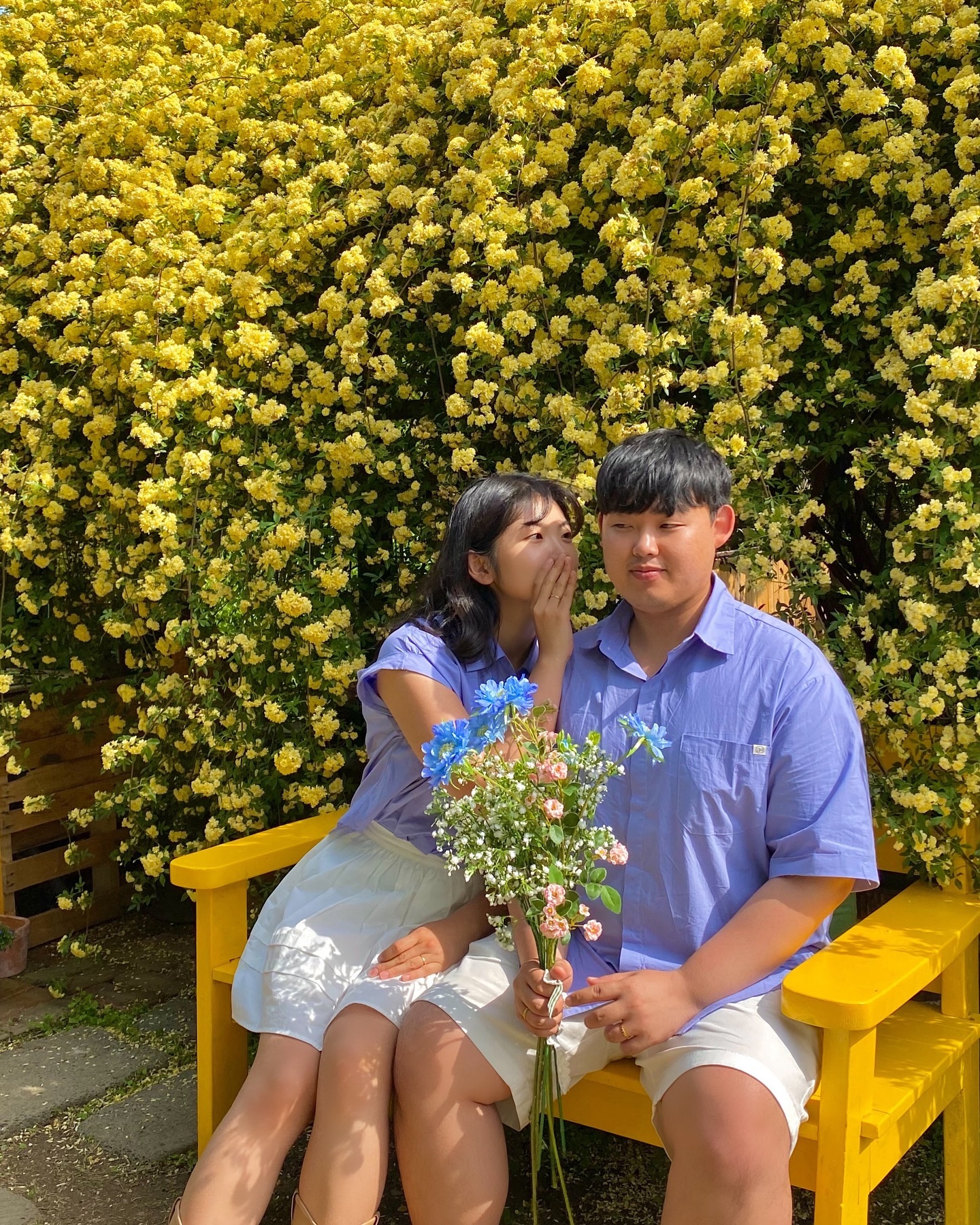 목향장미에 속아 화덕피자를 잊지말자 💛

#하동 #하동여행 #목향장미 #평사리의아침