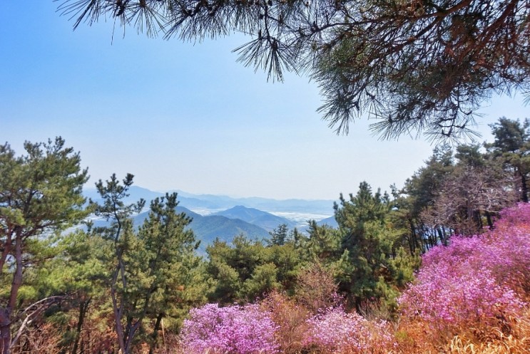 [추억거리] 대한민국 100대 명산/ 등산여권 지도 🌼