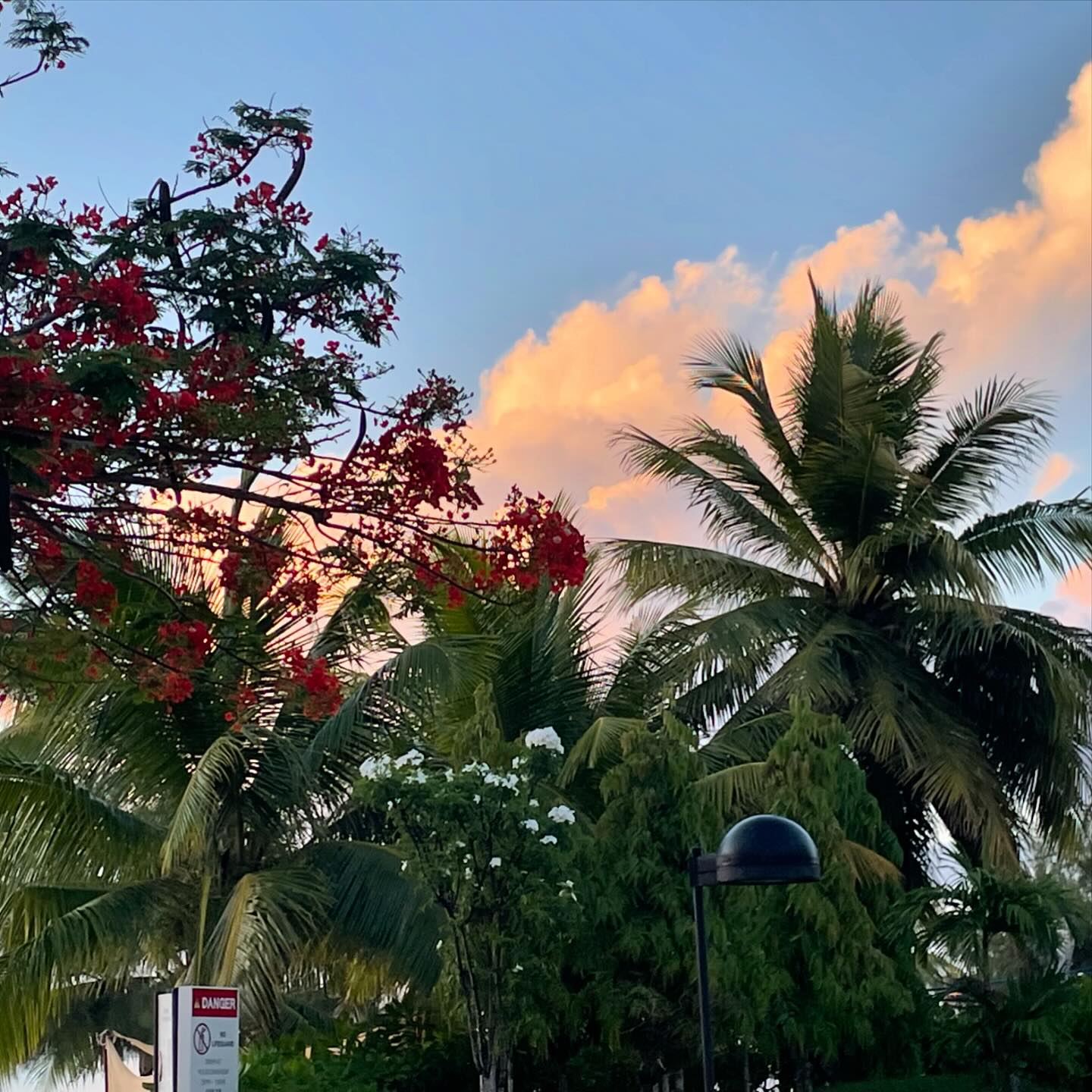 SAIPAN 여행 기록 🏝️🏝️
It makes me overwhelmed!
사이판 켄싱턴 호텔 이그제큐티브룸 후기 곧 업로드 할게요😘

#saipan #executive #kensington #saipankensington #lounge #사이판 #여행 #켄싱턴 #켄싱턴호텔 #제주항공 #조식 #중식 #석식 #bbq #석양 #뷰맛집 #여행 #travel #trip