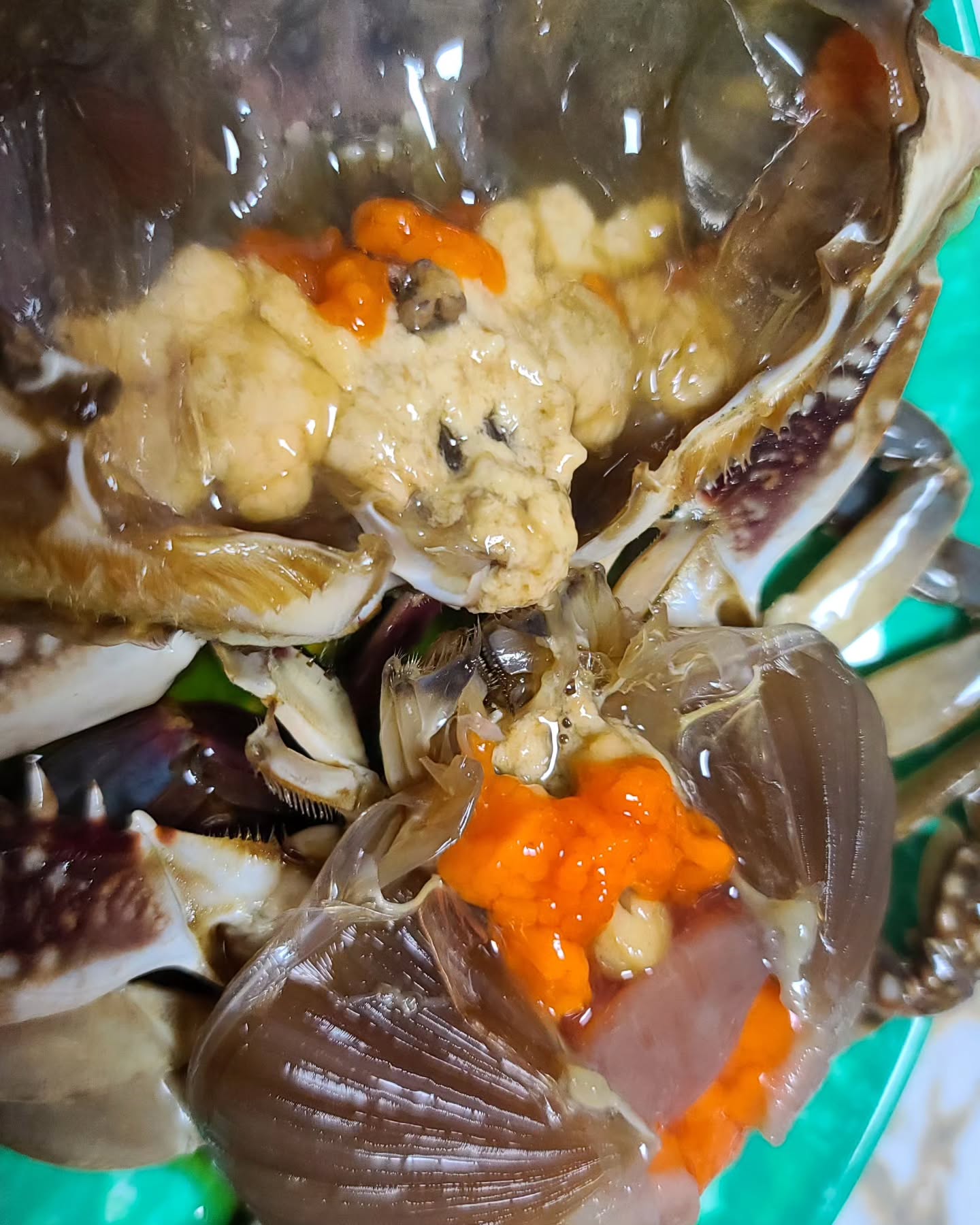 #알배기게장 #냠냠쩝쩝 #저녁맘마 #집밥그램

덕분에 잘먹었습니다 ㅋㅋㅋ 
맛있네용 ㅋㅋ
역시 입맛돌아오는덴 게장만한 게 없다며 ㅋㅋㅋ 🤤🤤🤤🤤🤤🤤

냠냠

#먹스타그램 #일상그램